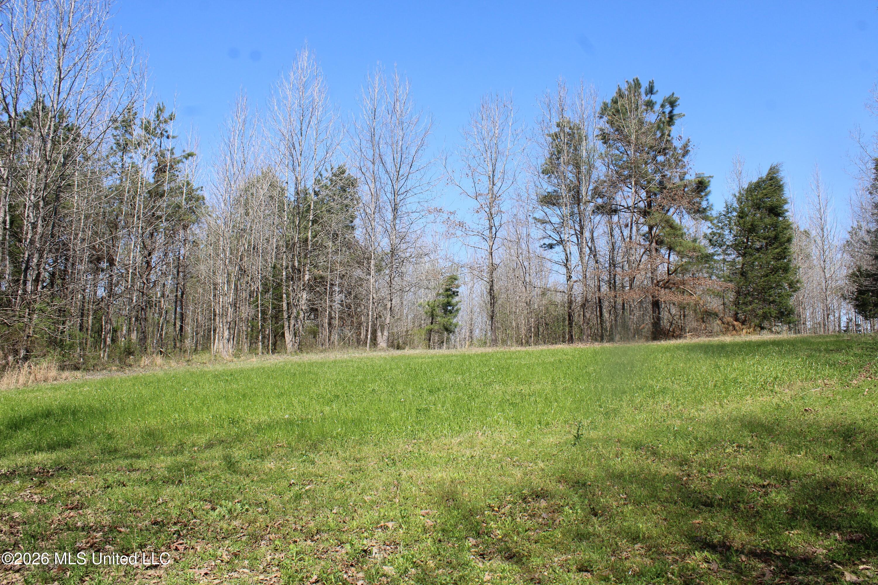 1200 Pottery Road Property Photo 28