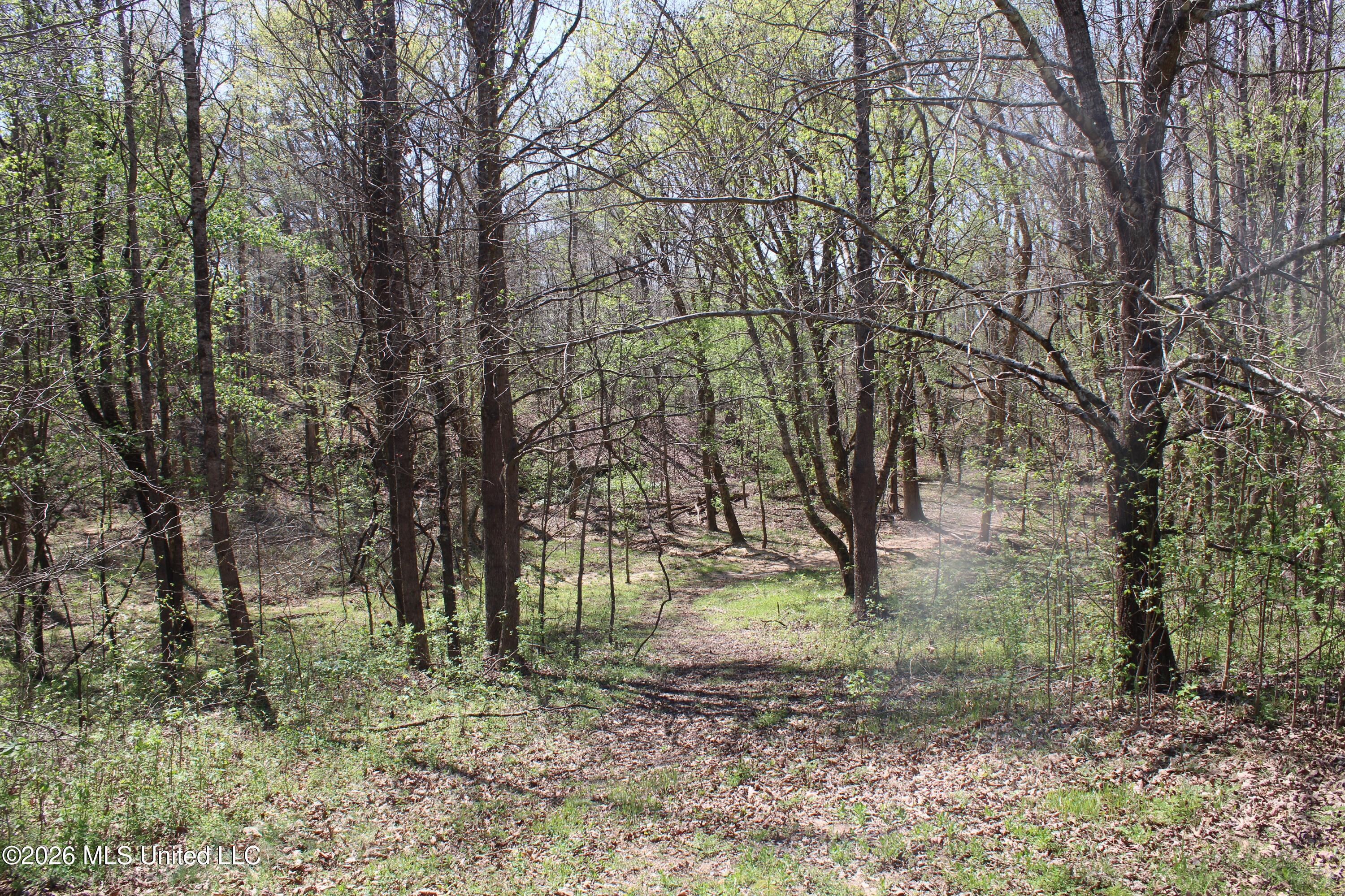 1200 Pottery Road Property Photo 29