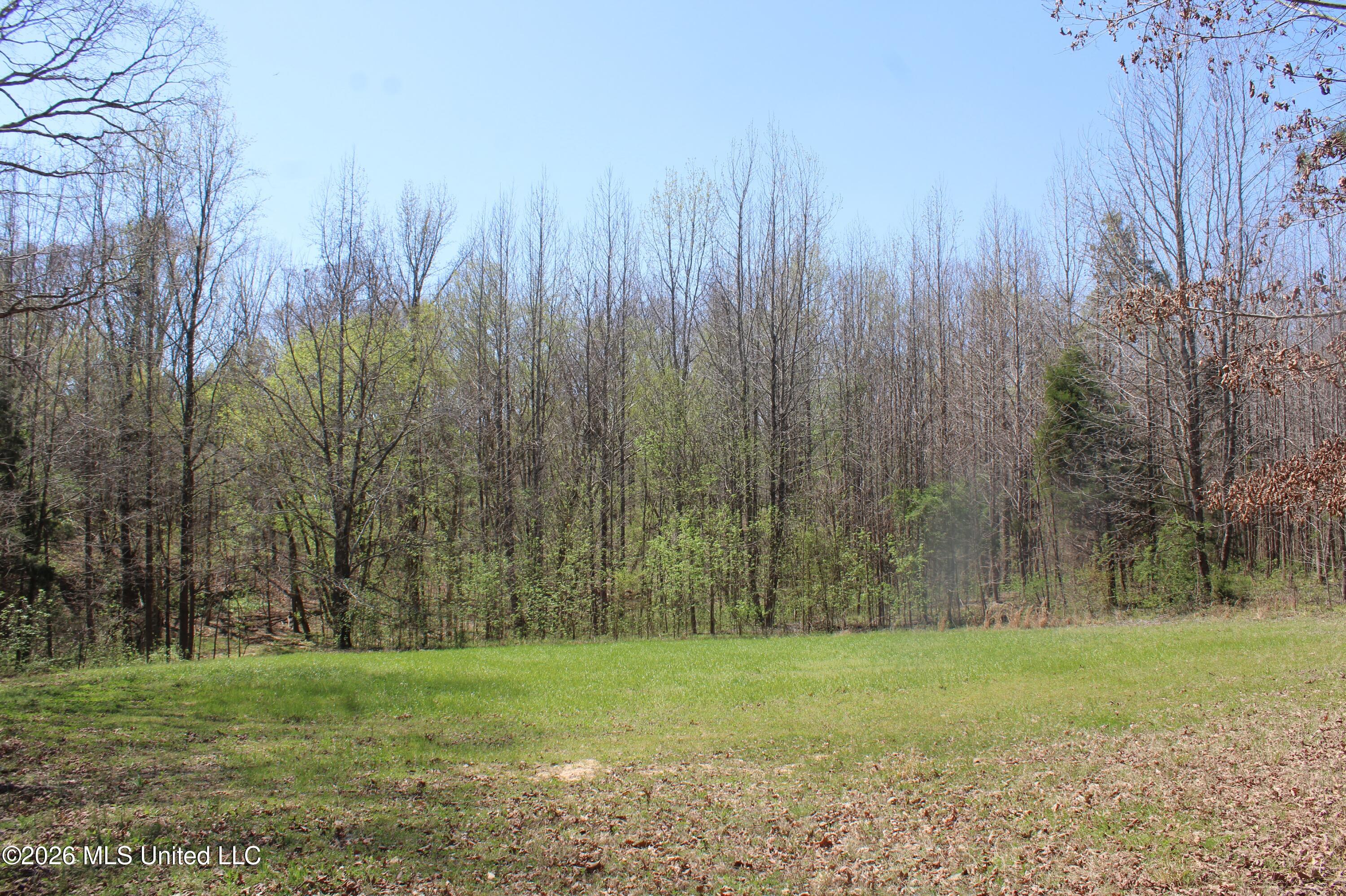 1200 Pottery Road Property Photo 31