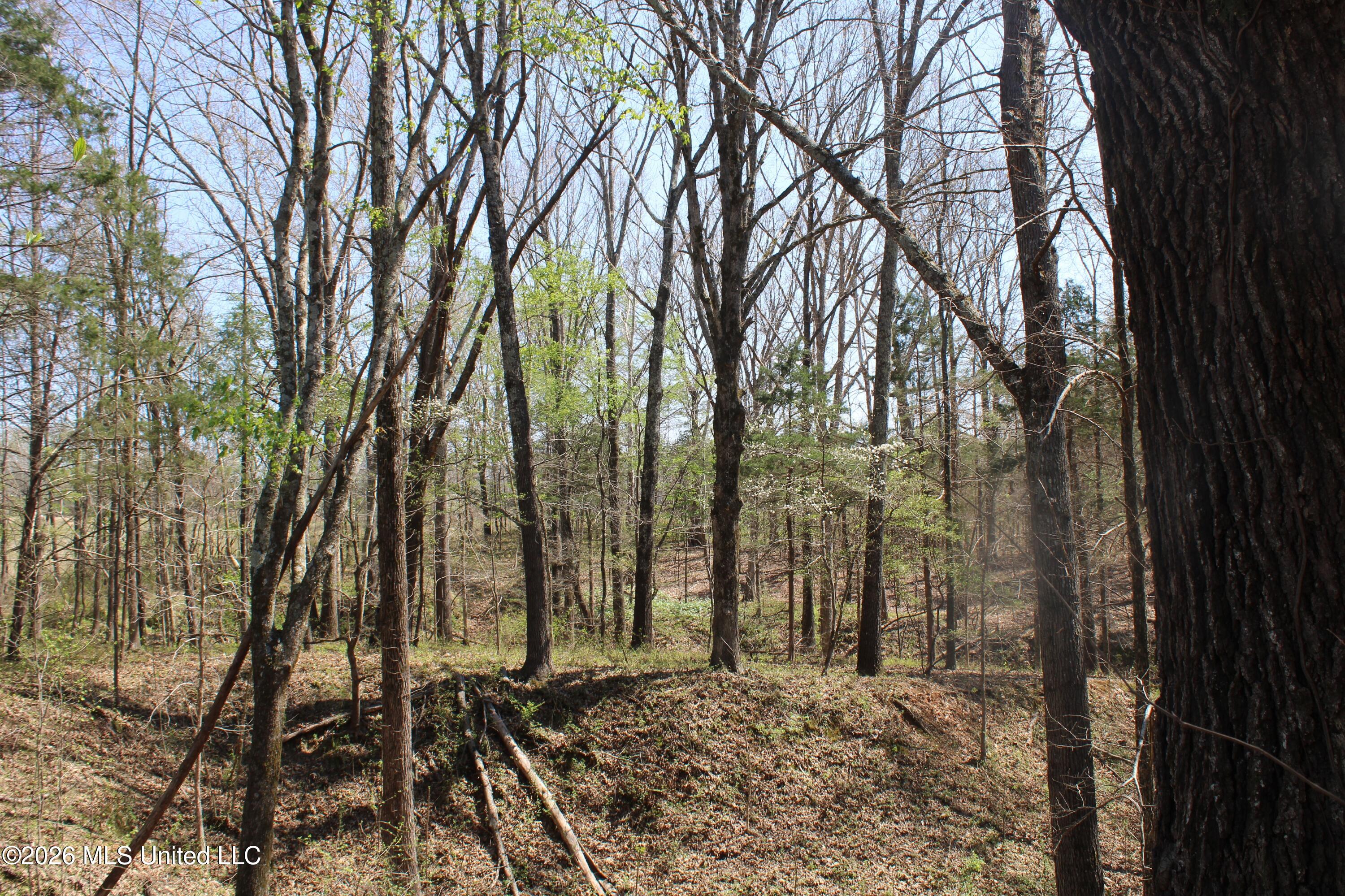 1200 Pottery Road Property Photo 32