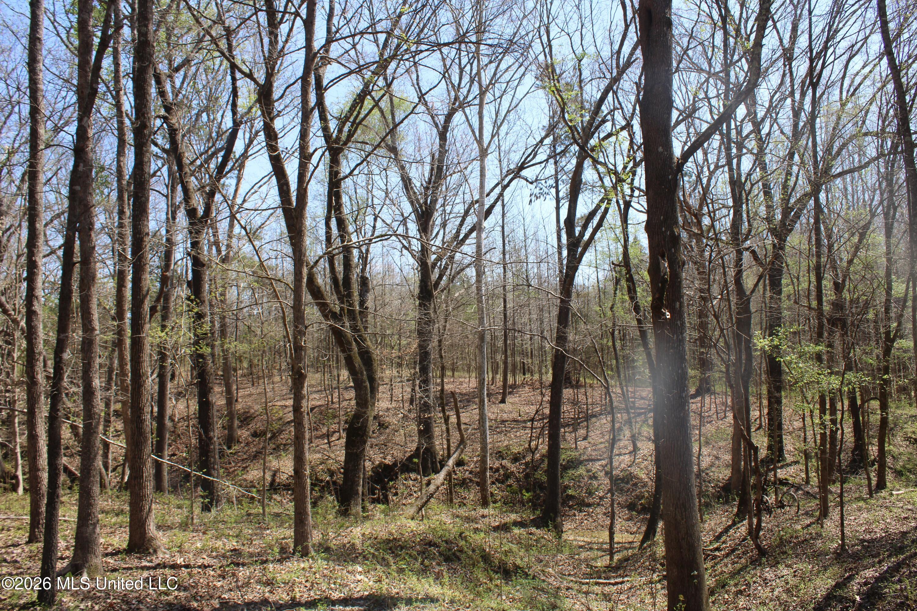 1200 Pottery Road Property Photo 33