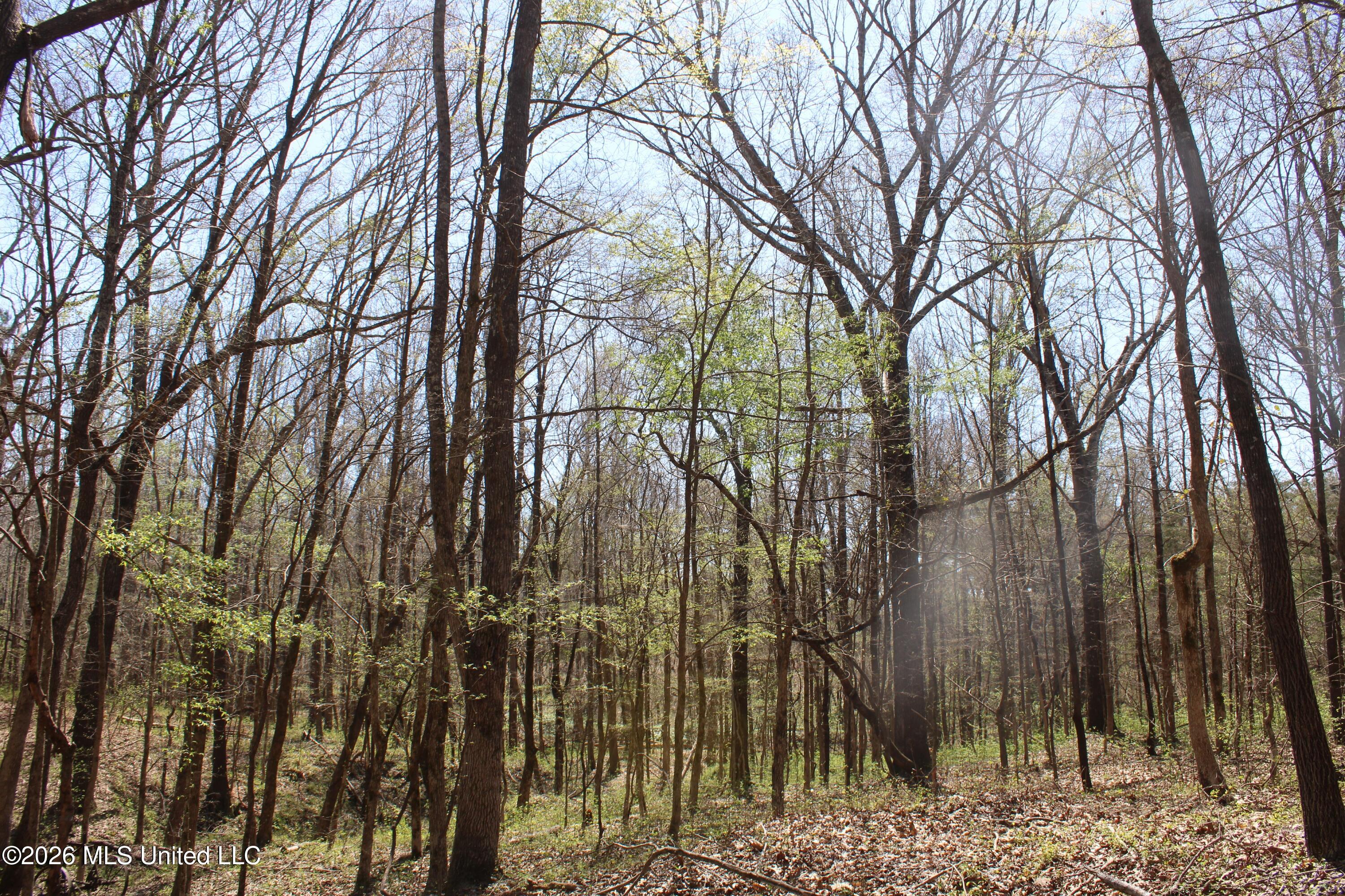 1200 Pottery Road Property Photo 34