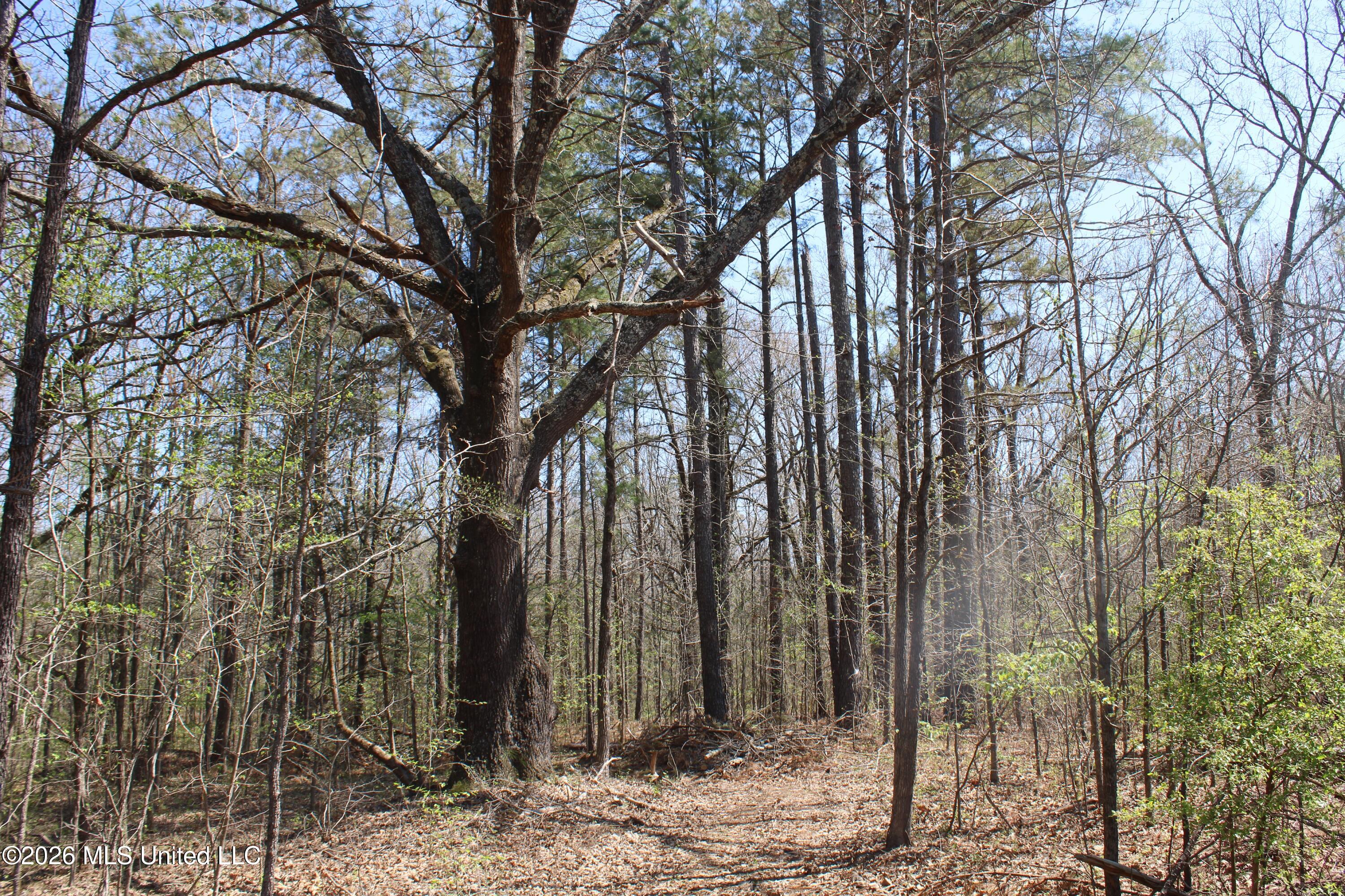 1200 Pottery Road Property Photo 36