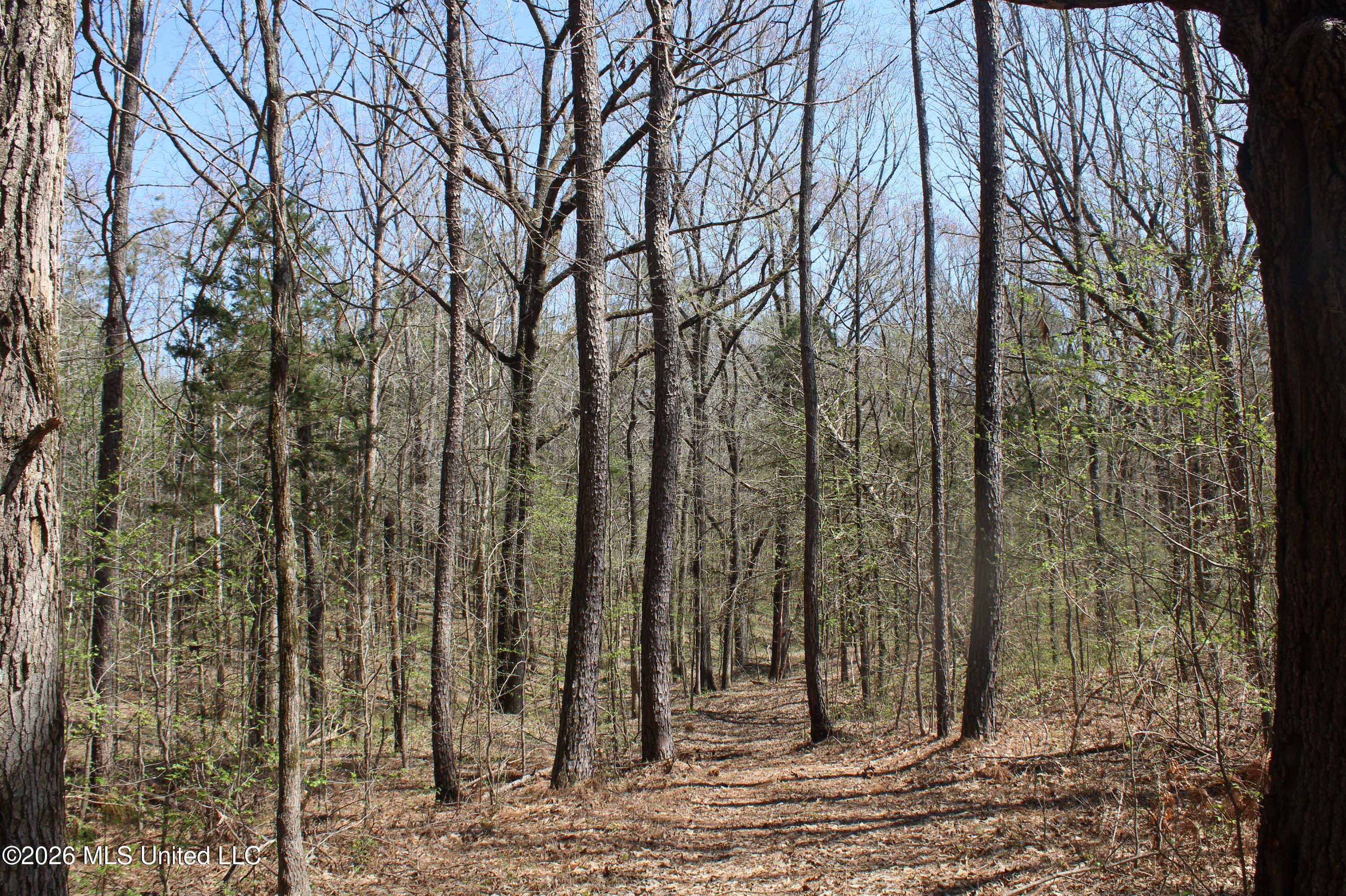 1200 Pottery Road Property Photo 37