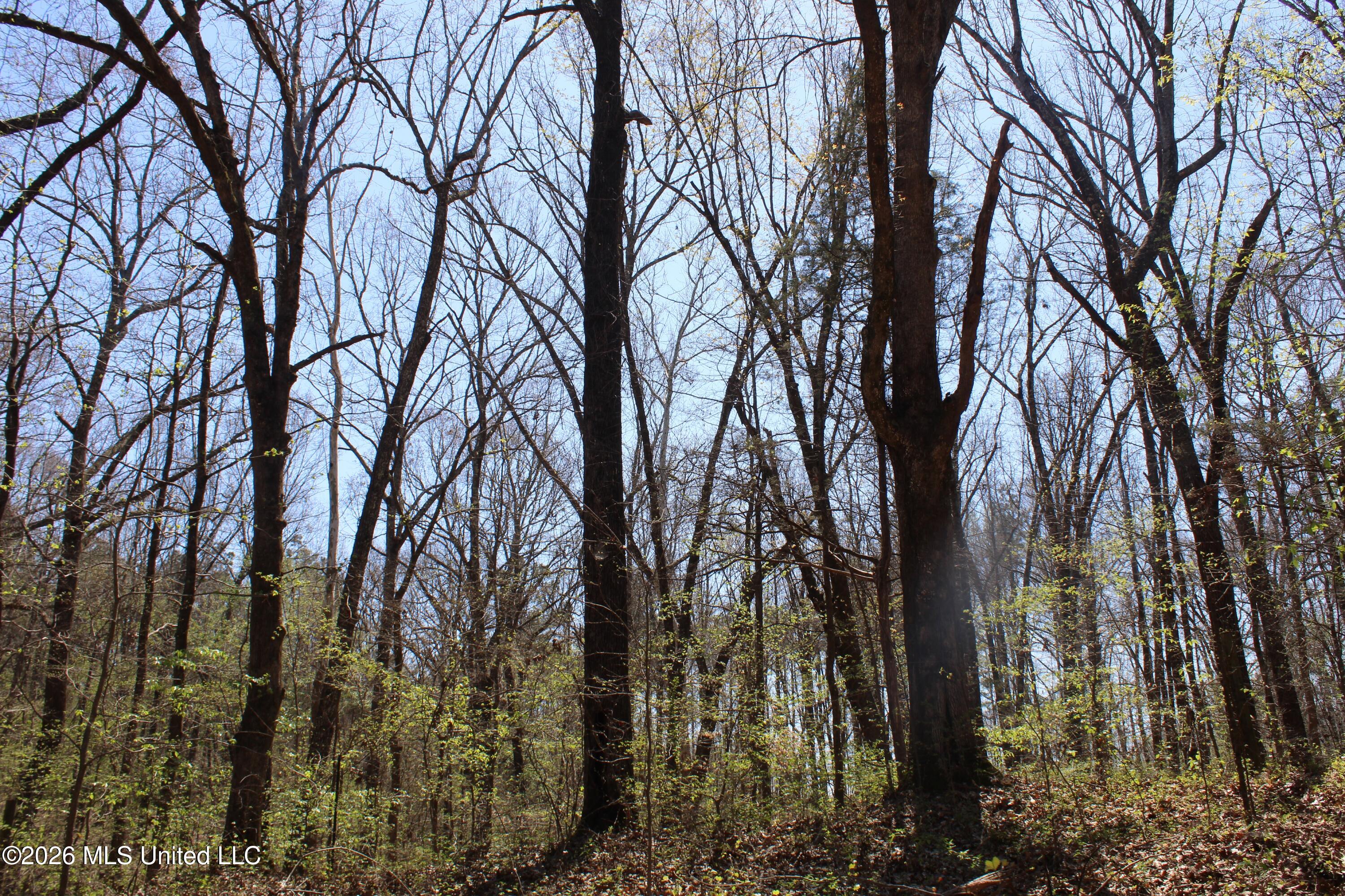 1200 Pottery Road Property Photo 38