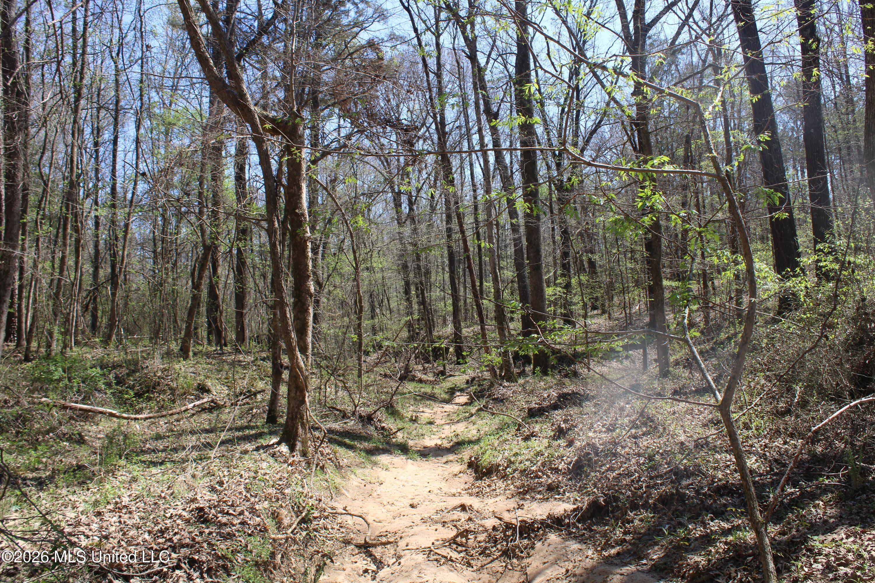 1200 Pottery Road Property Photo 39