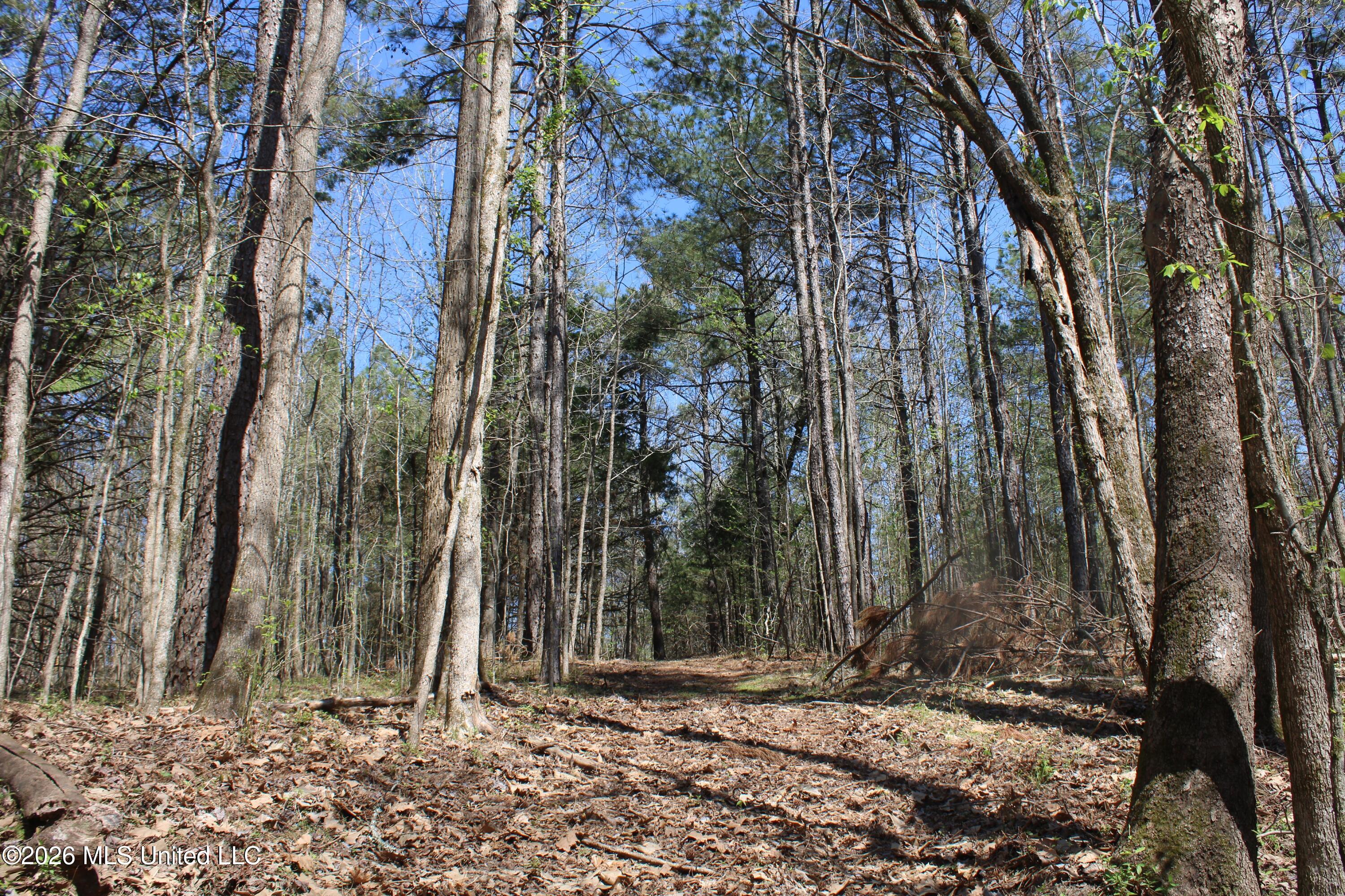 1200 Pottery Road Property Photo 40
