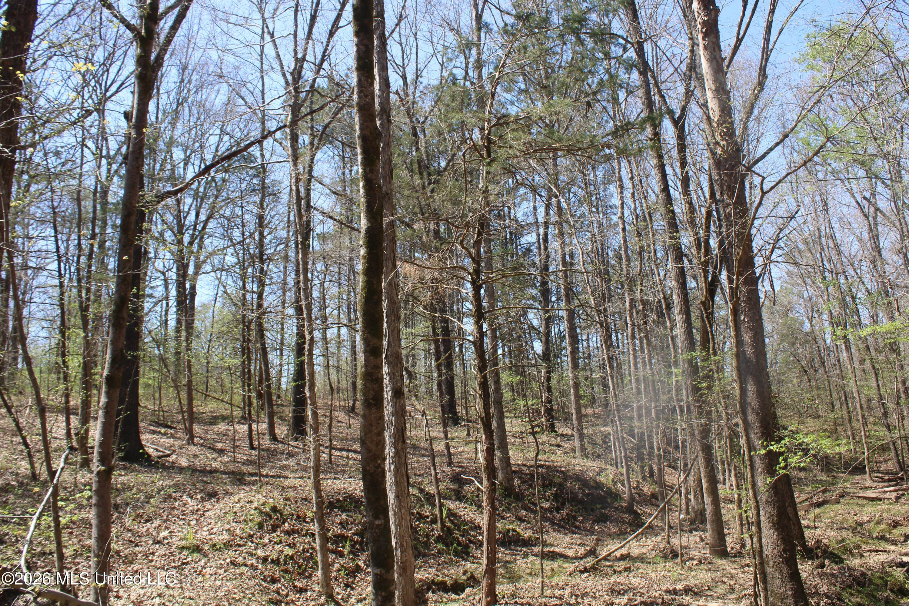 1200 Pottery Road Property Photo 41