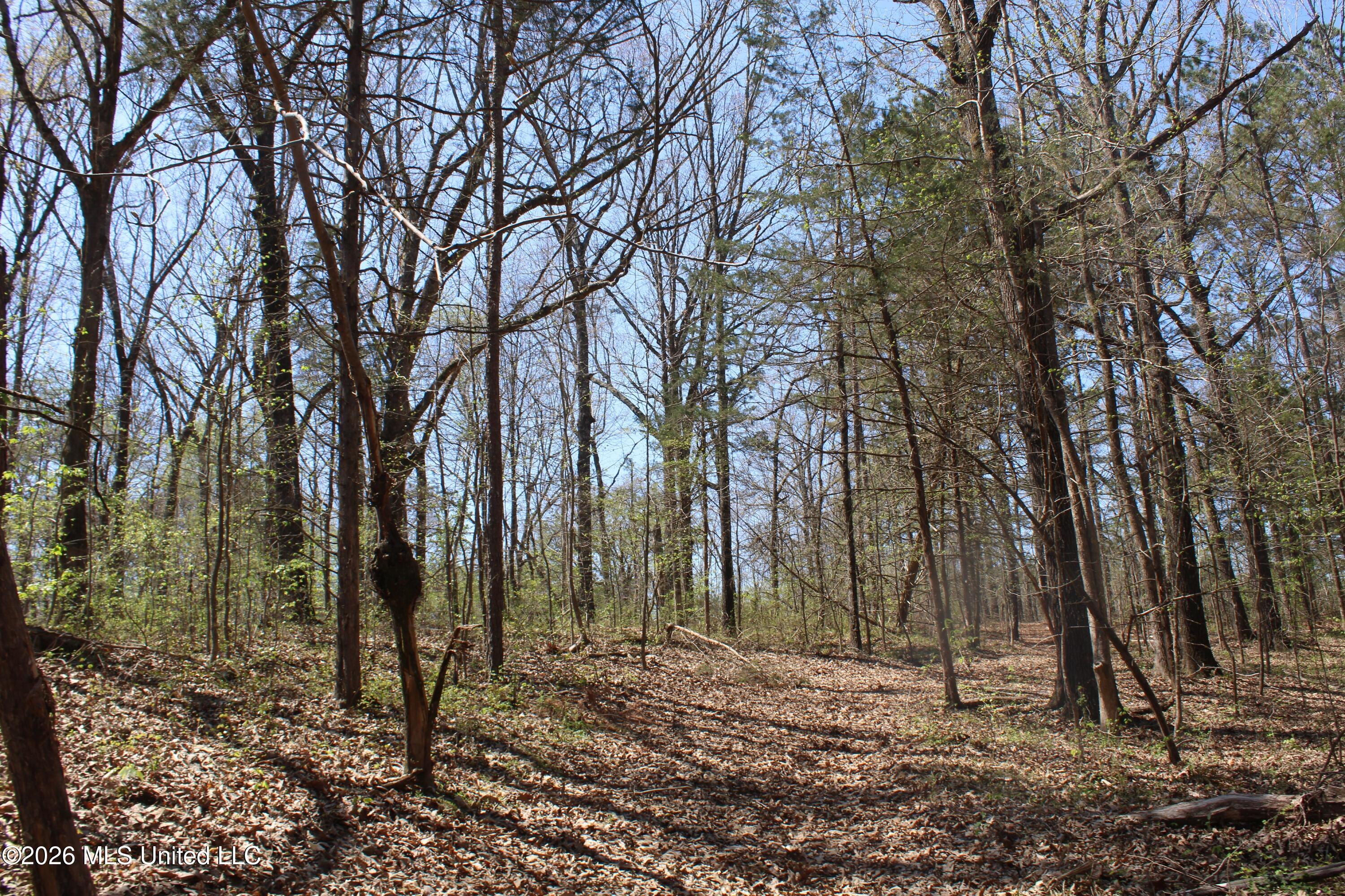 1200 Pottery Road Property Photo 42