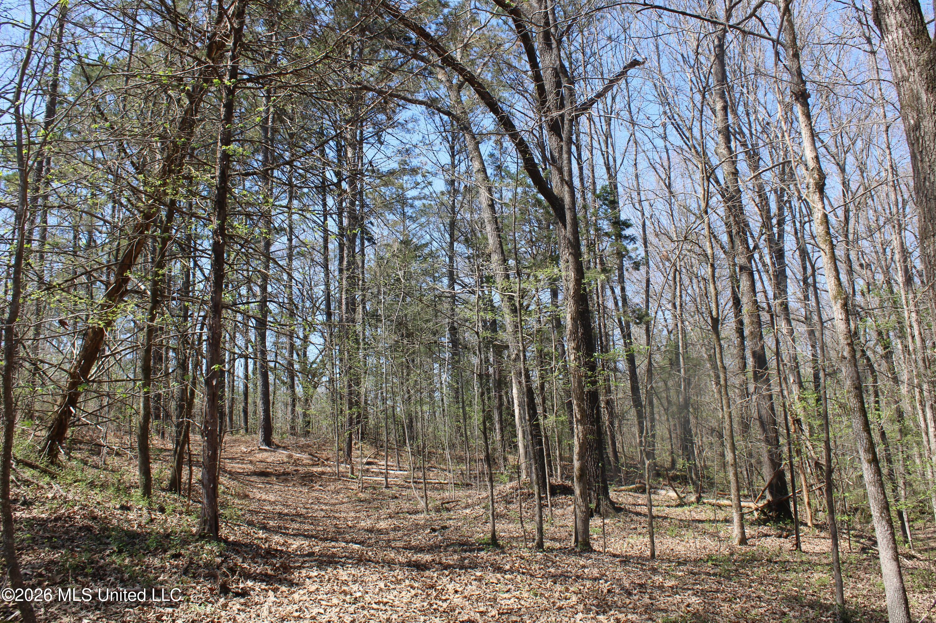 1200 Pottery Road Property Photo 43