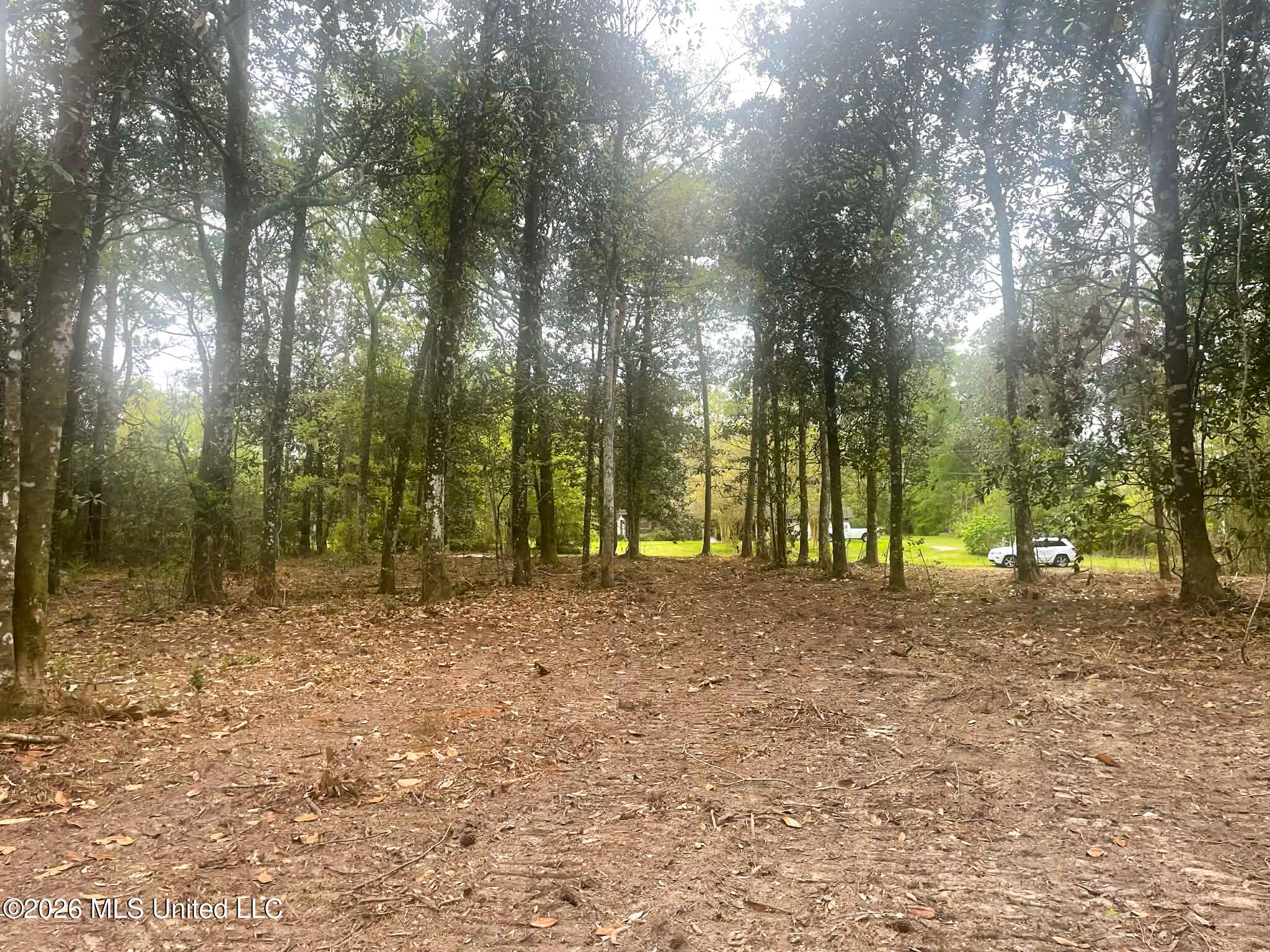 Donniebrook Lane Property Photo 2