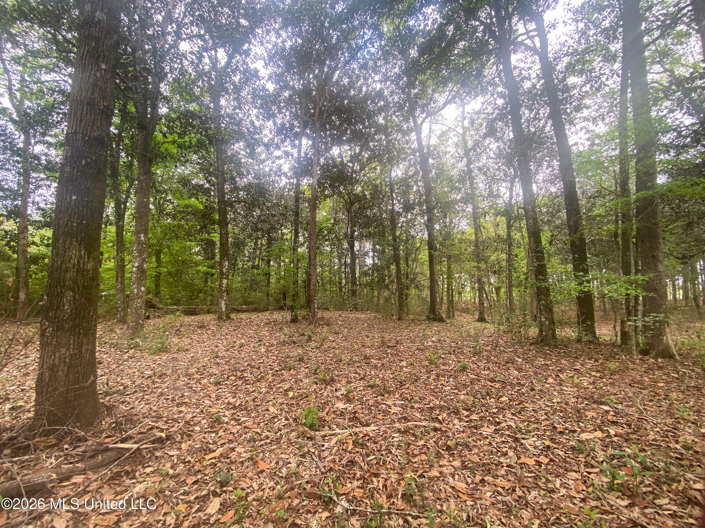 Donniebrook Lane Property Photo 3