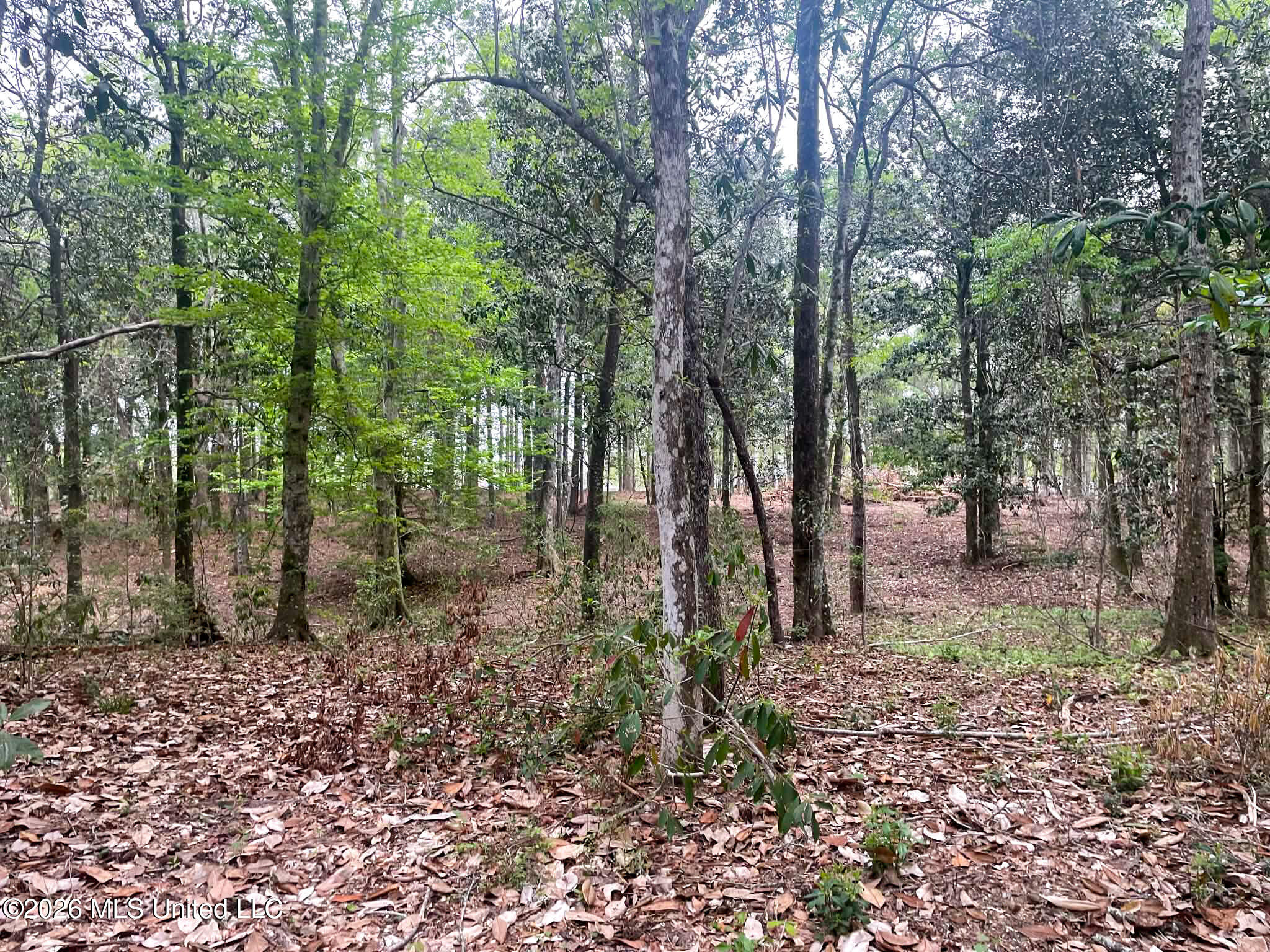 Donniebrook Lane Property Photo 5