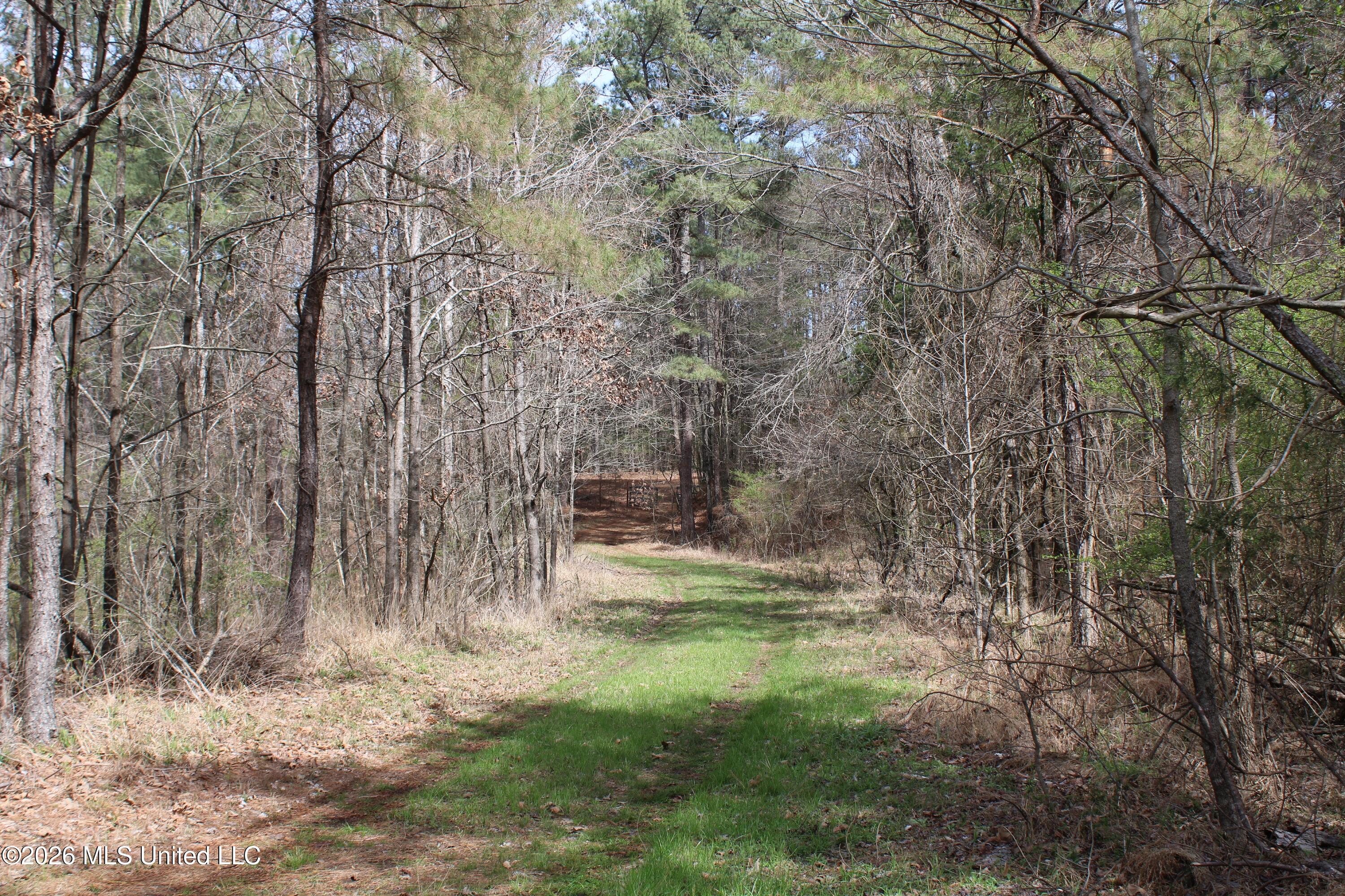 4500 Jaybird Road Property Photo 1