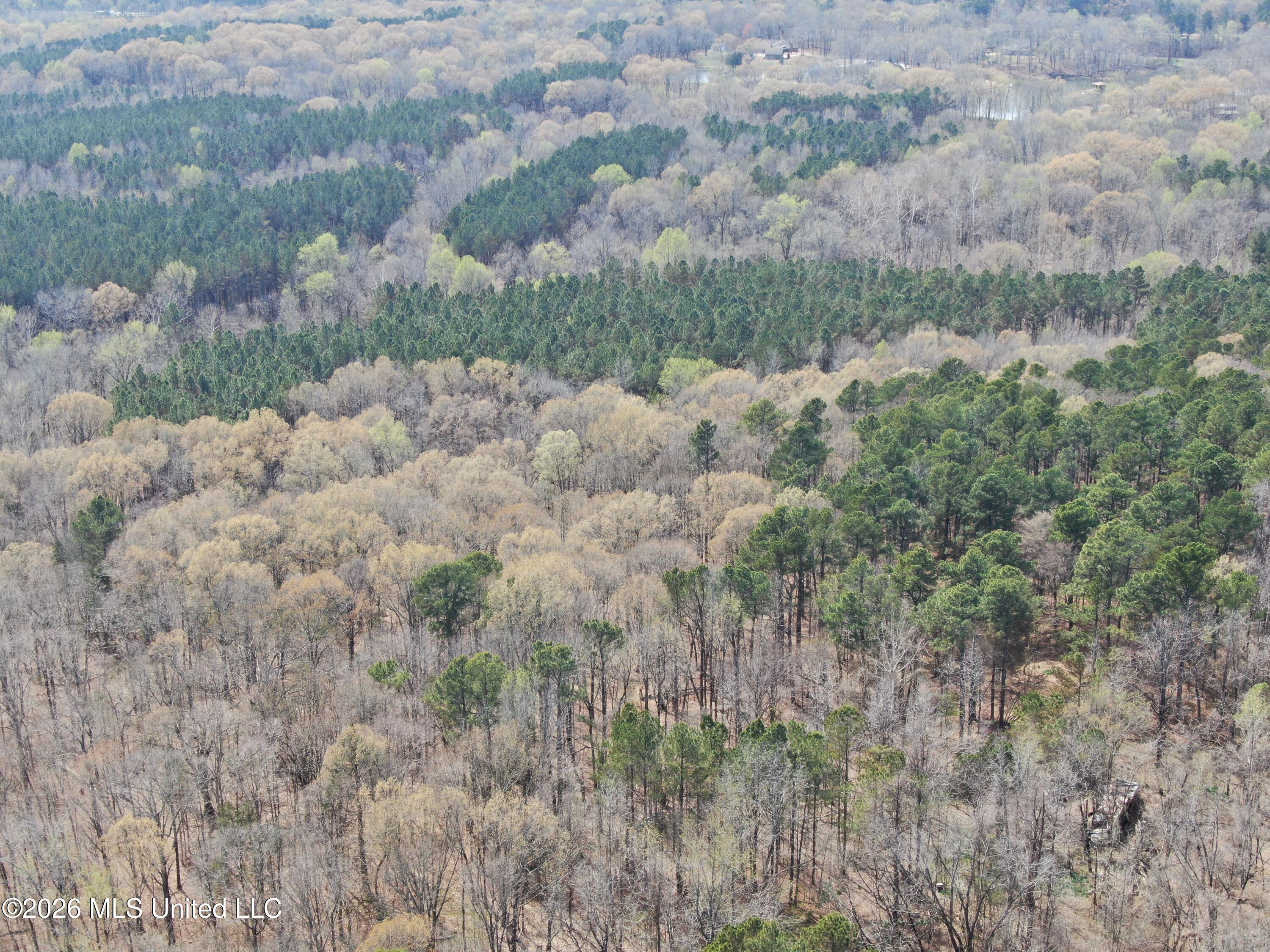4500 Jaybird Road Property Photo 2
