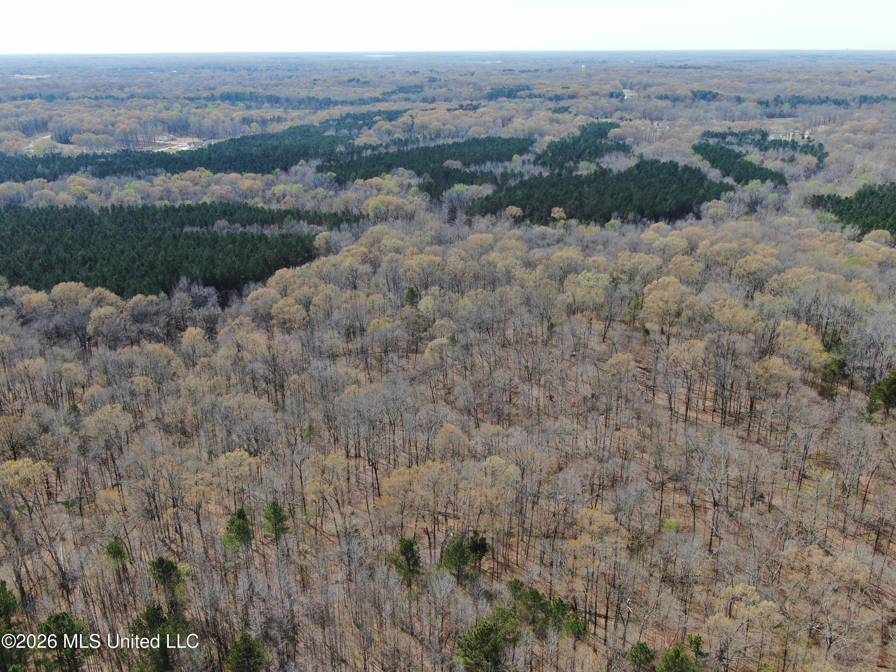 4500 Jaybird Road Property Photo 5