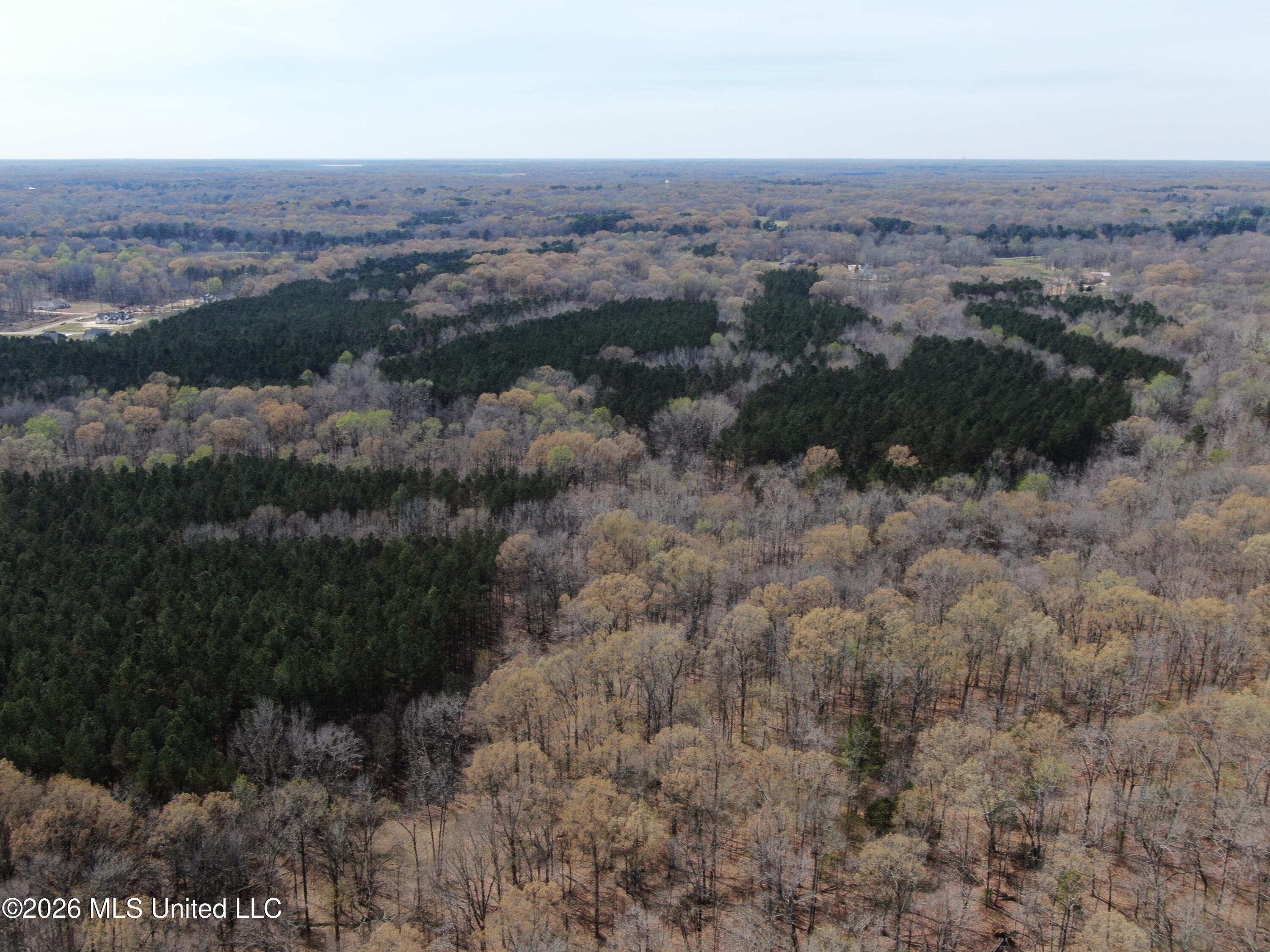 4500 Jaybird Road Property Photo 6