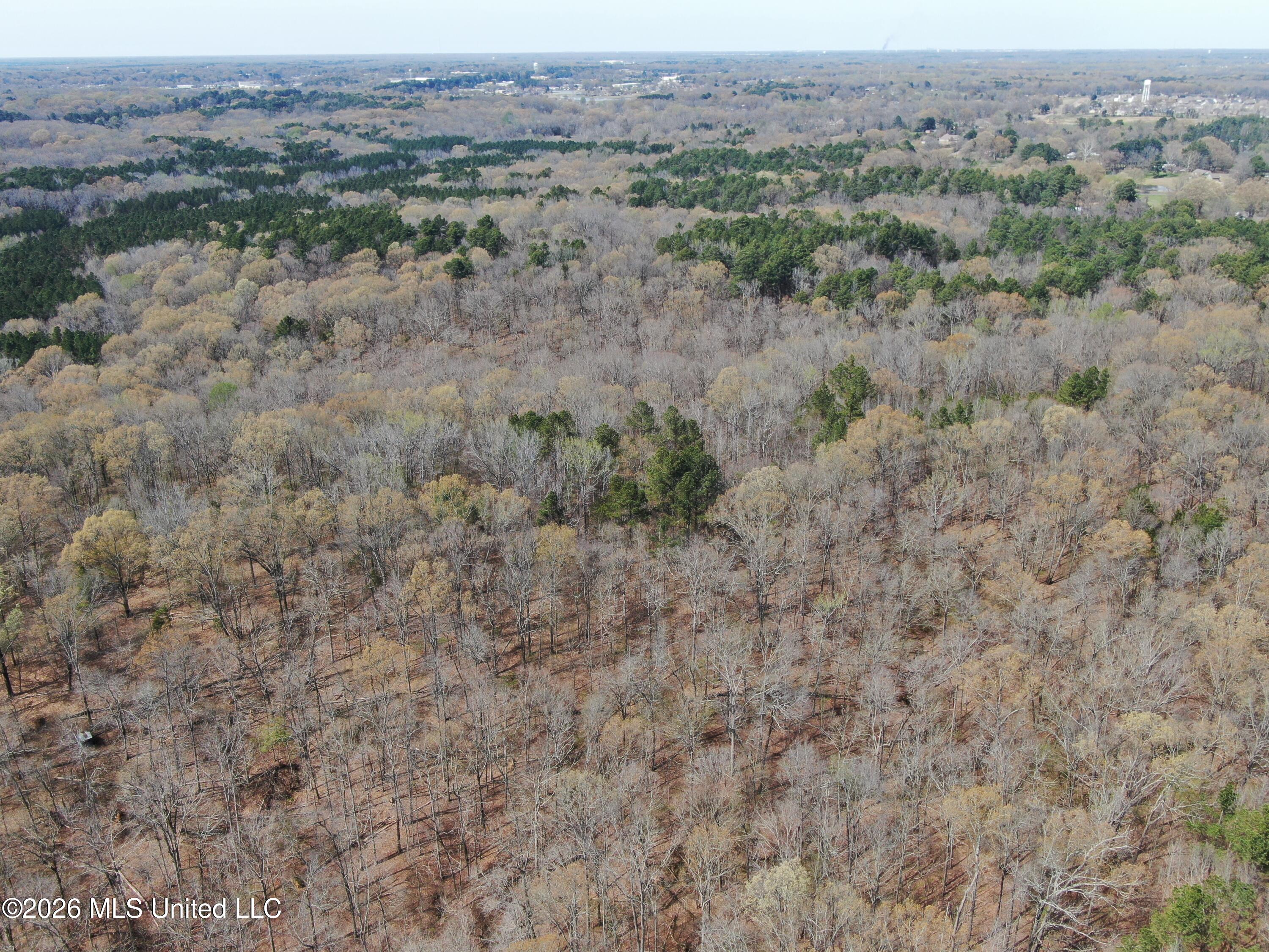 4500 Jaybird Road Property Photo 7