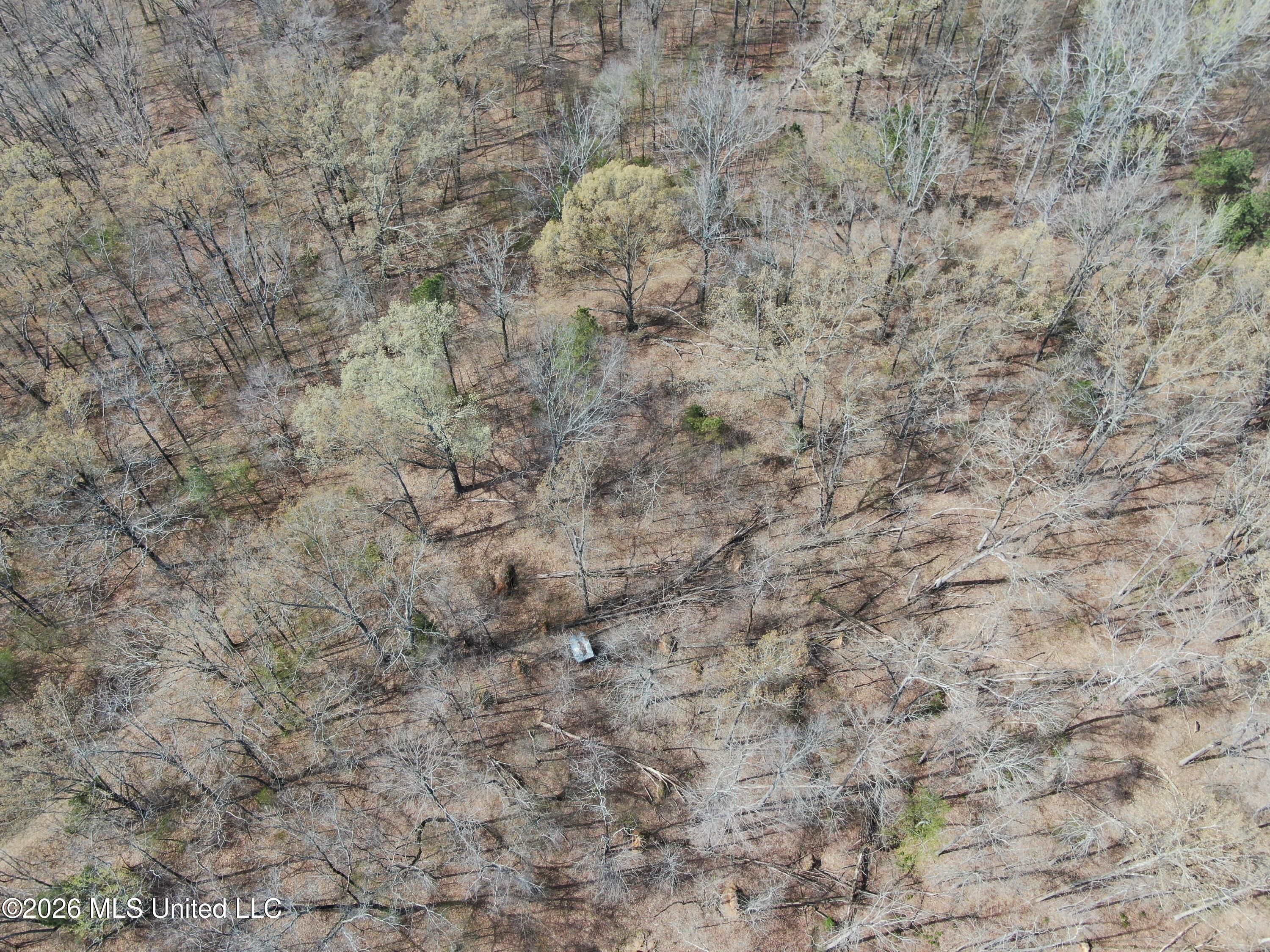 4500 Jaybird Road Property Photo 8