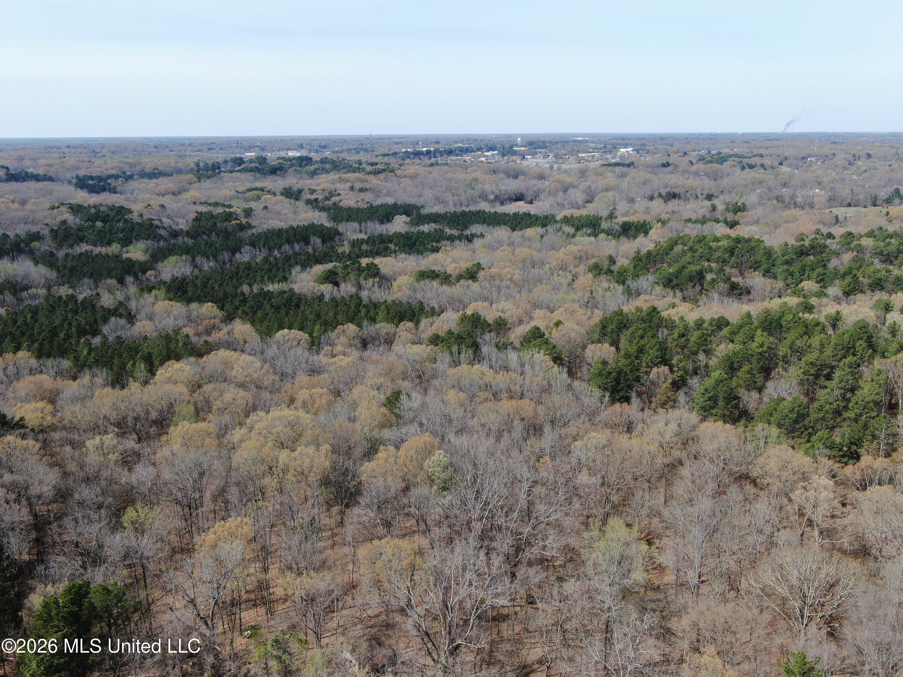 4500 Jaybird Road Property Photo 9