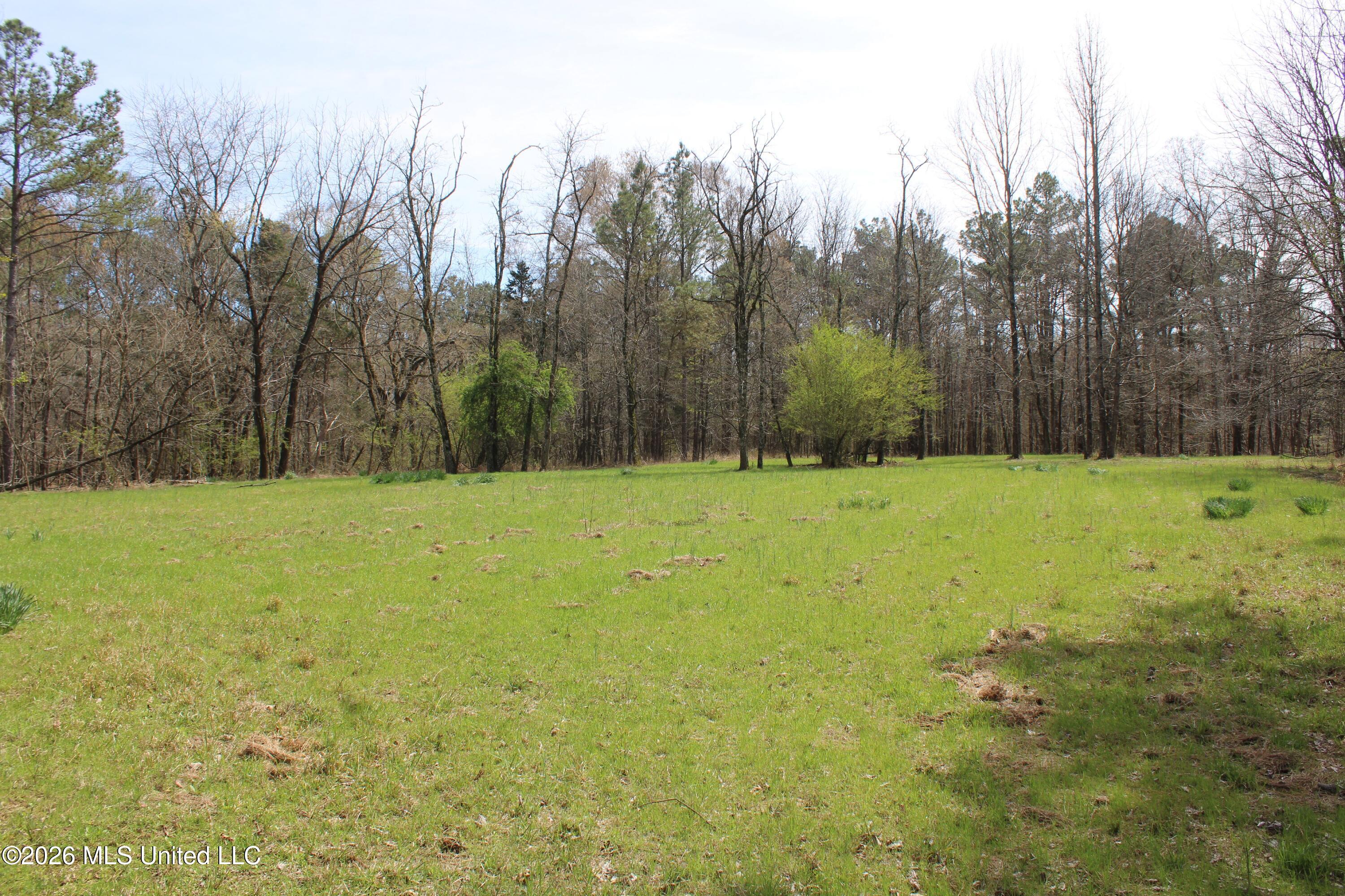 4500 Jaybird Road Property Photo 11