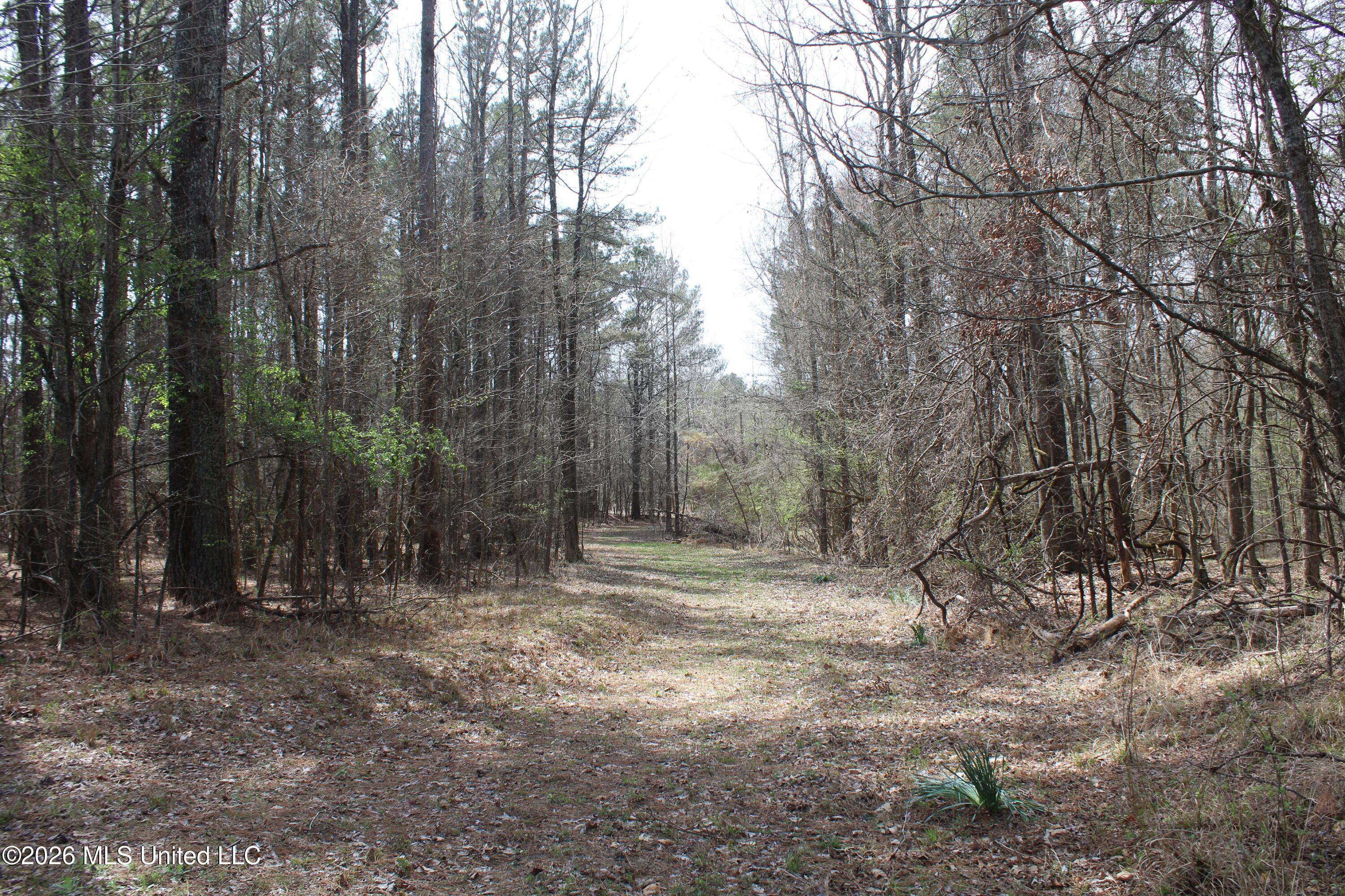 4500 Jaybird Road Property Photo 12