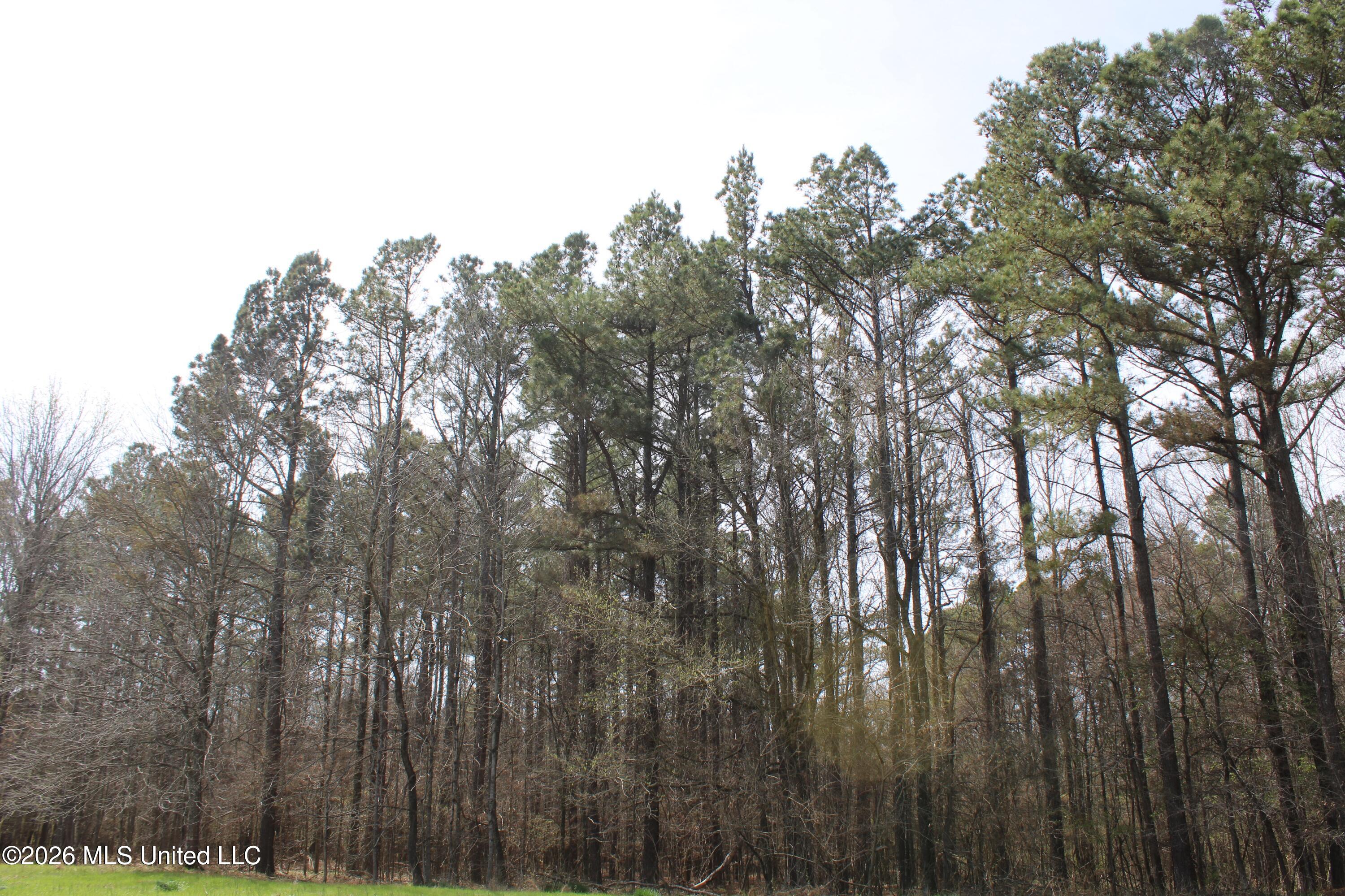 4500 Jaybird Road Property Photo 13