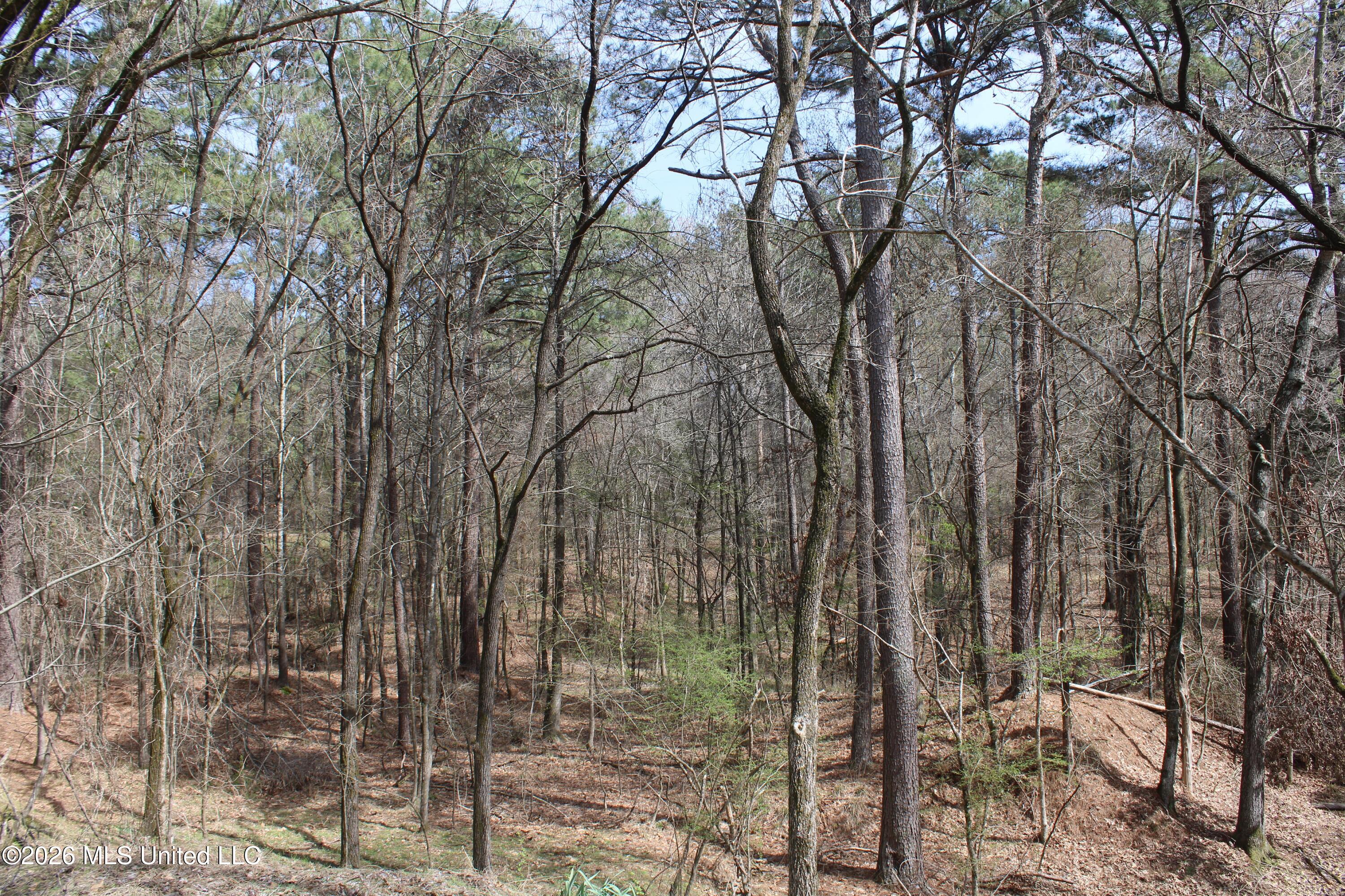 4500 Jaybird Road Property Photo 14