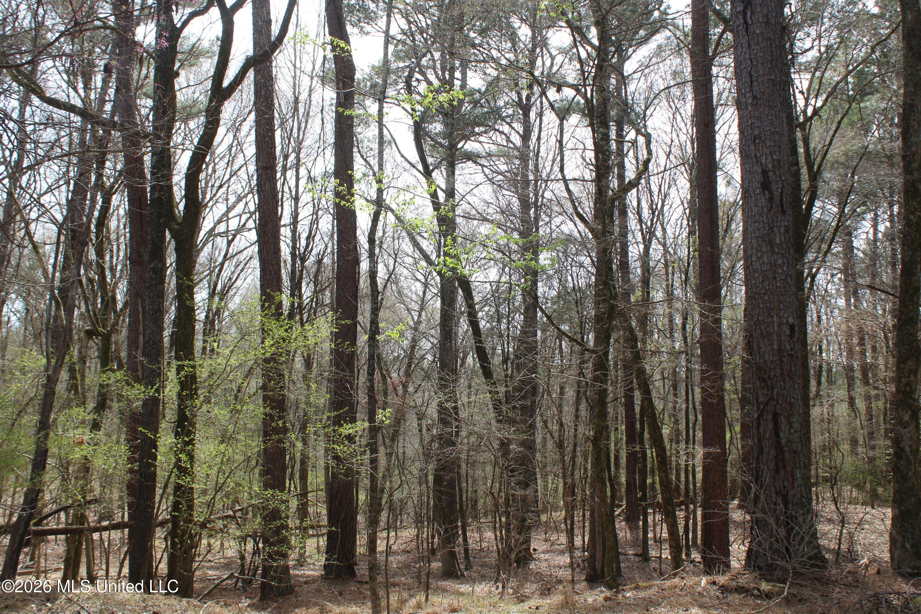 4500 Jaybird Road Property Photo 17