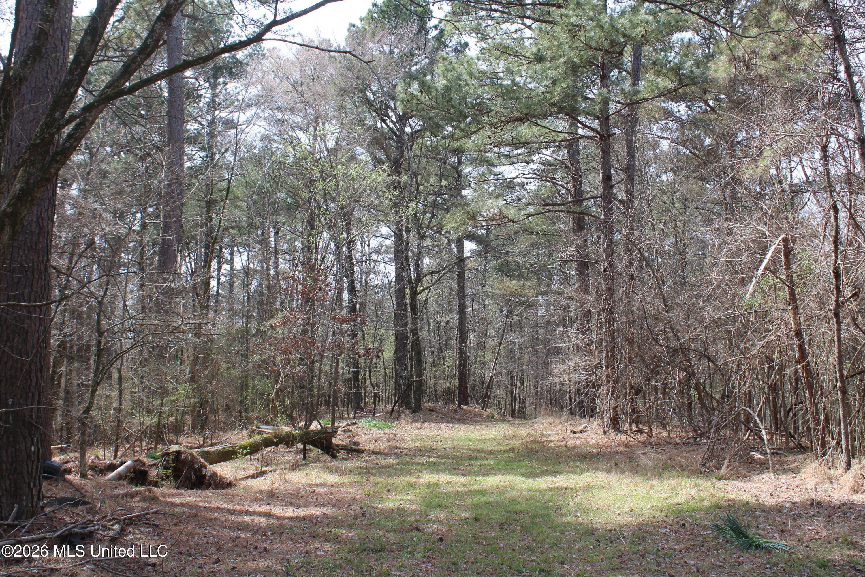 4500 Jaybird Road Property Photo 18