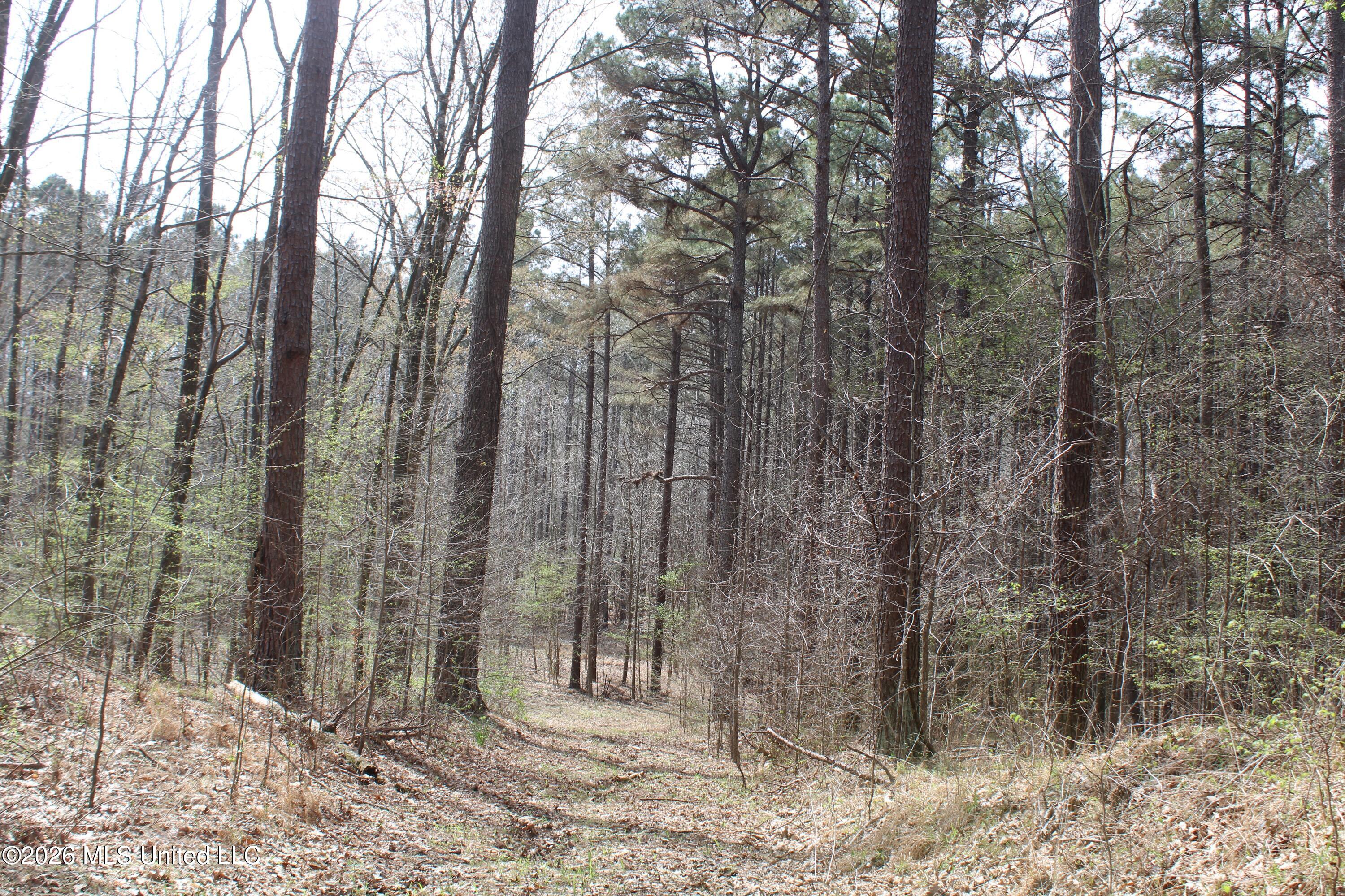 4500 Jaybird Road Property Photo 19