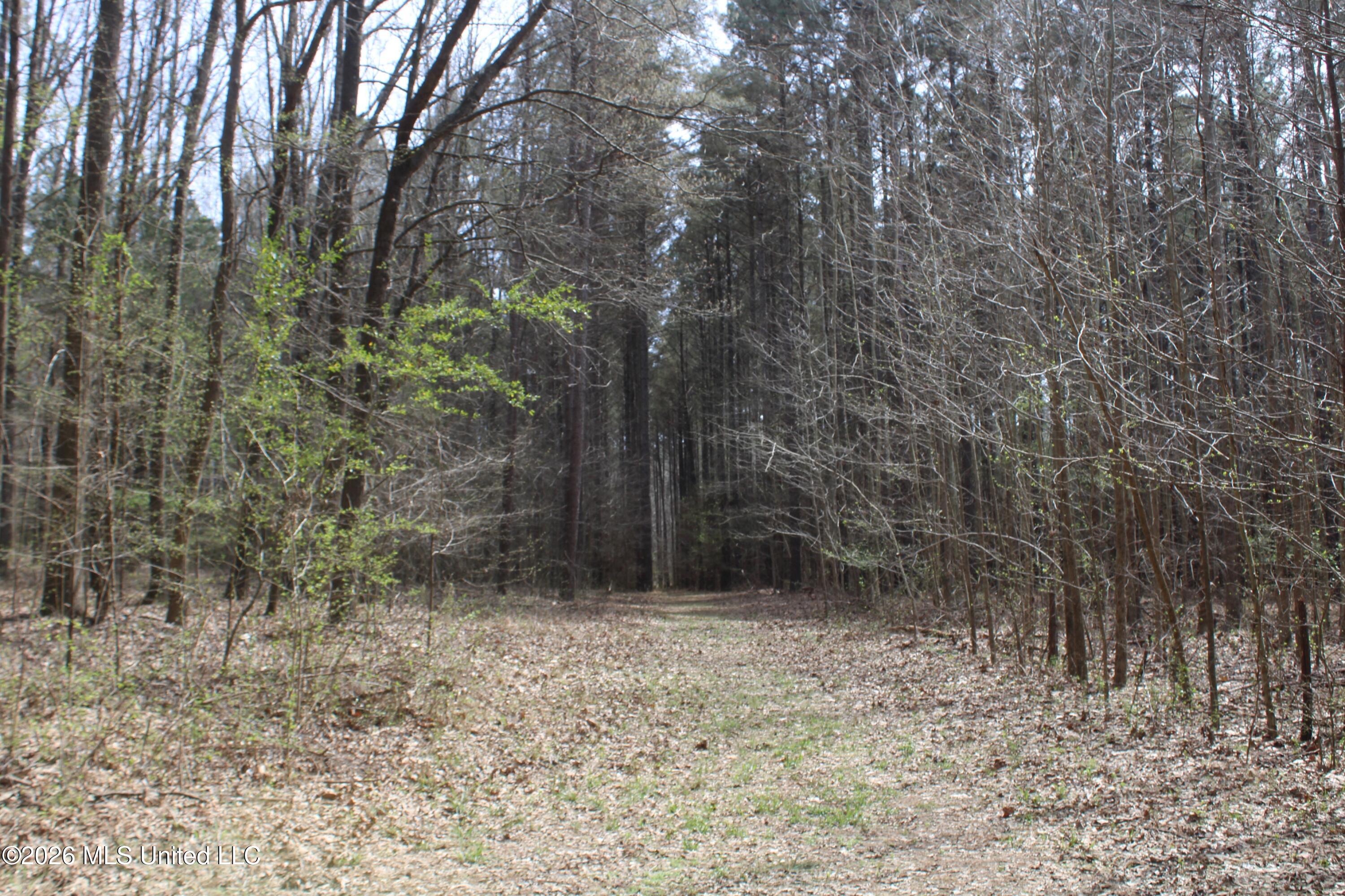 4500 Jaybird Road Property Photo 20
