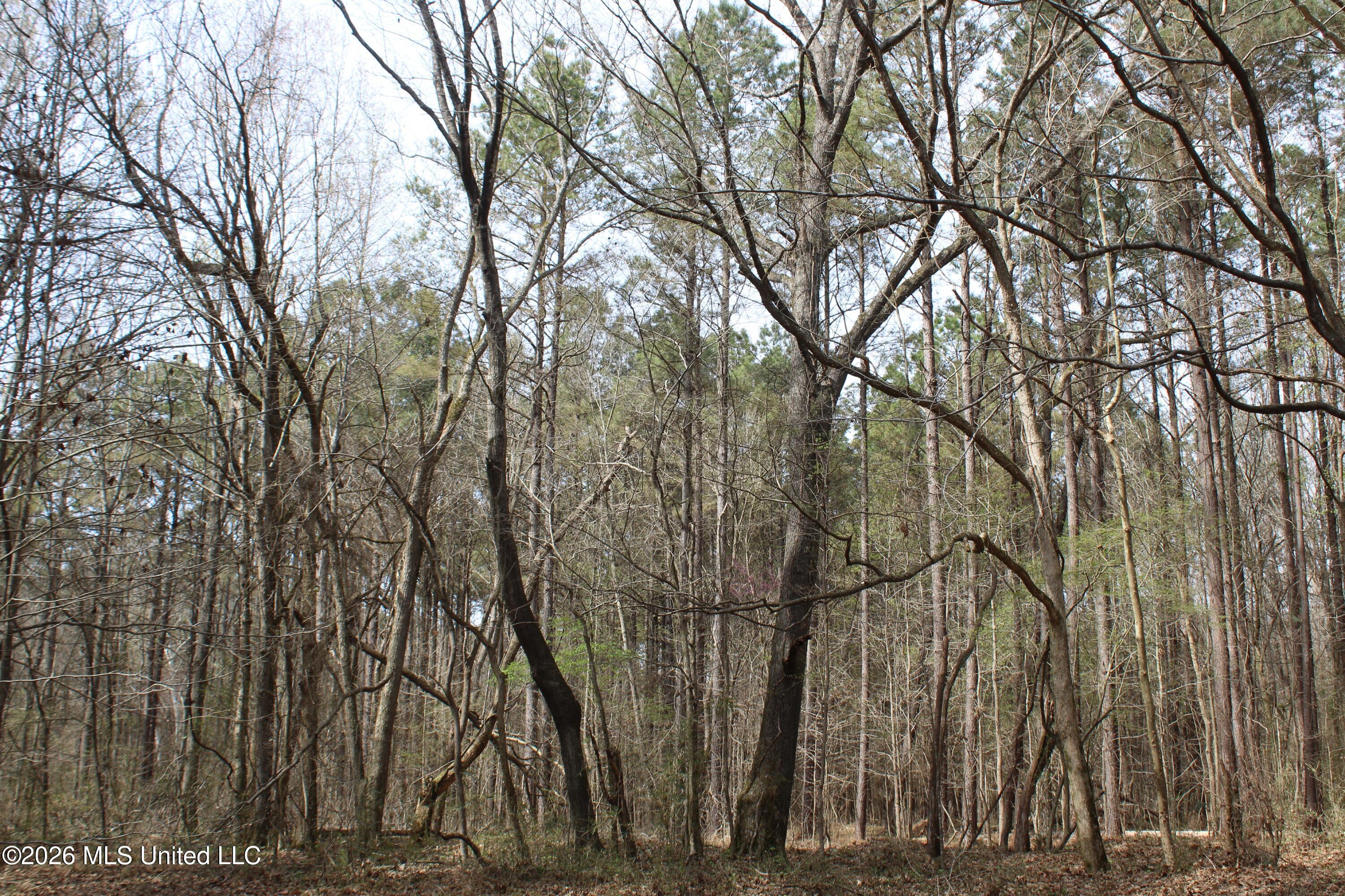 4500 Jaybird Road Property Photo 21