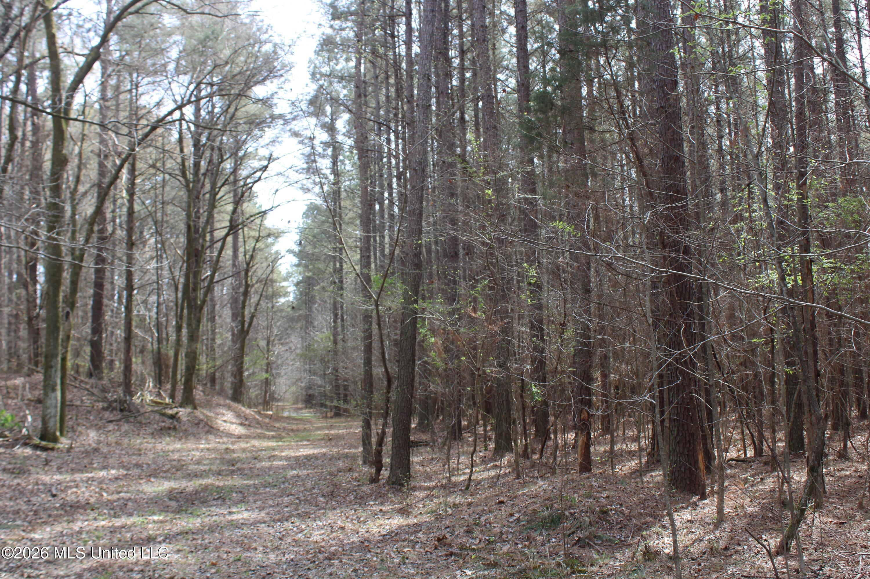 4500 Jaybird Road Property Photo 22