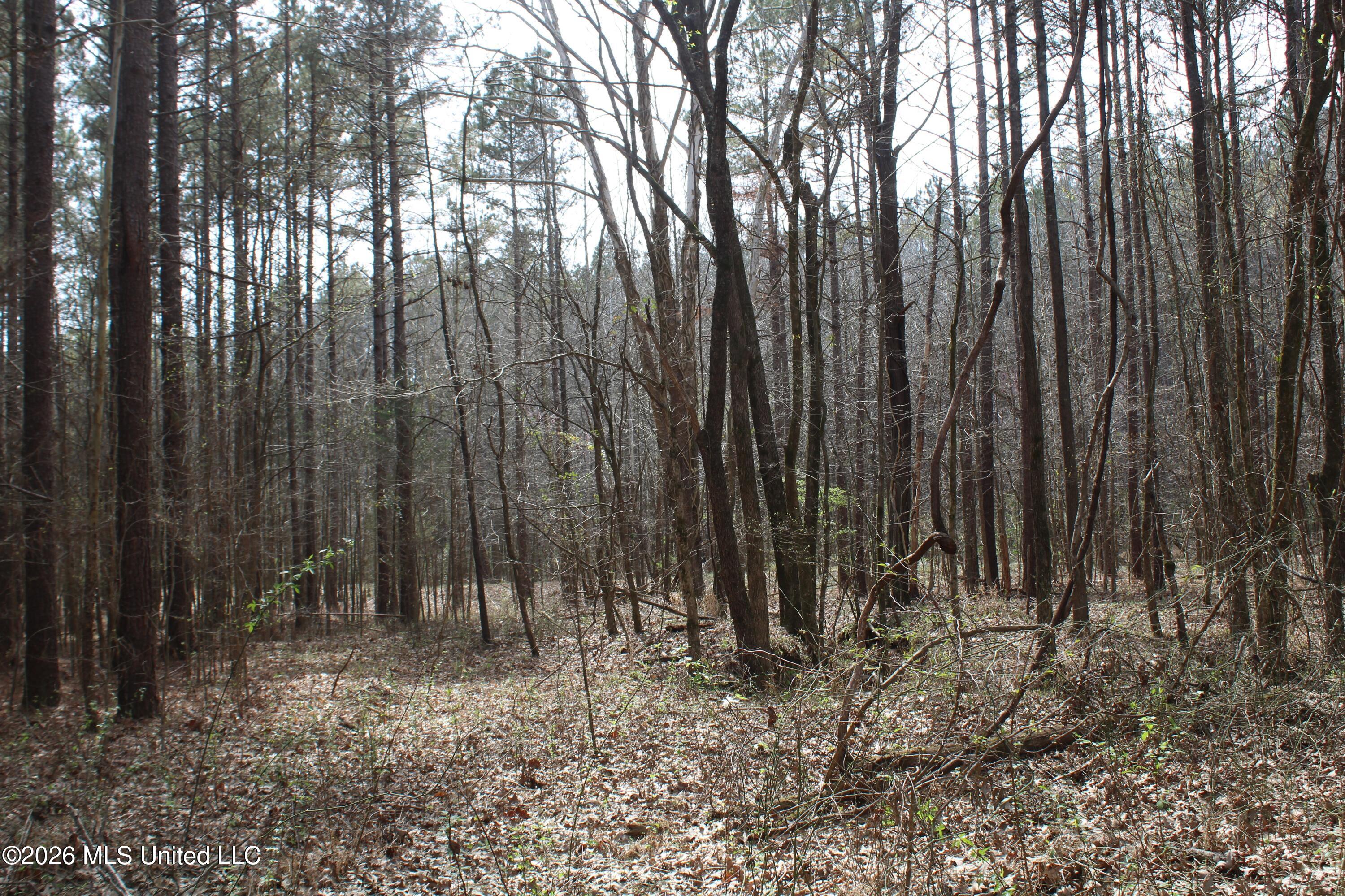 4500 Jaybird Road Property Photo 23