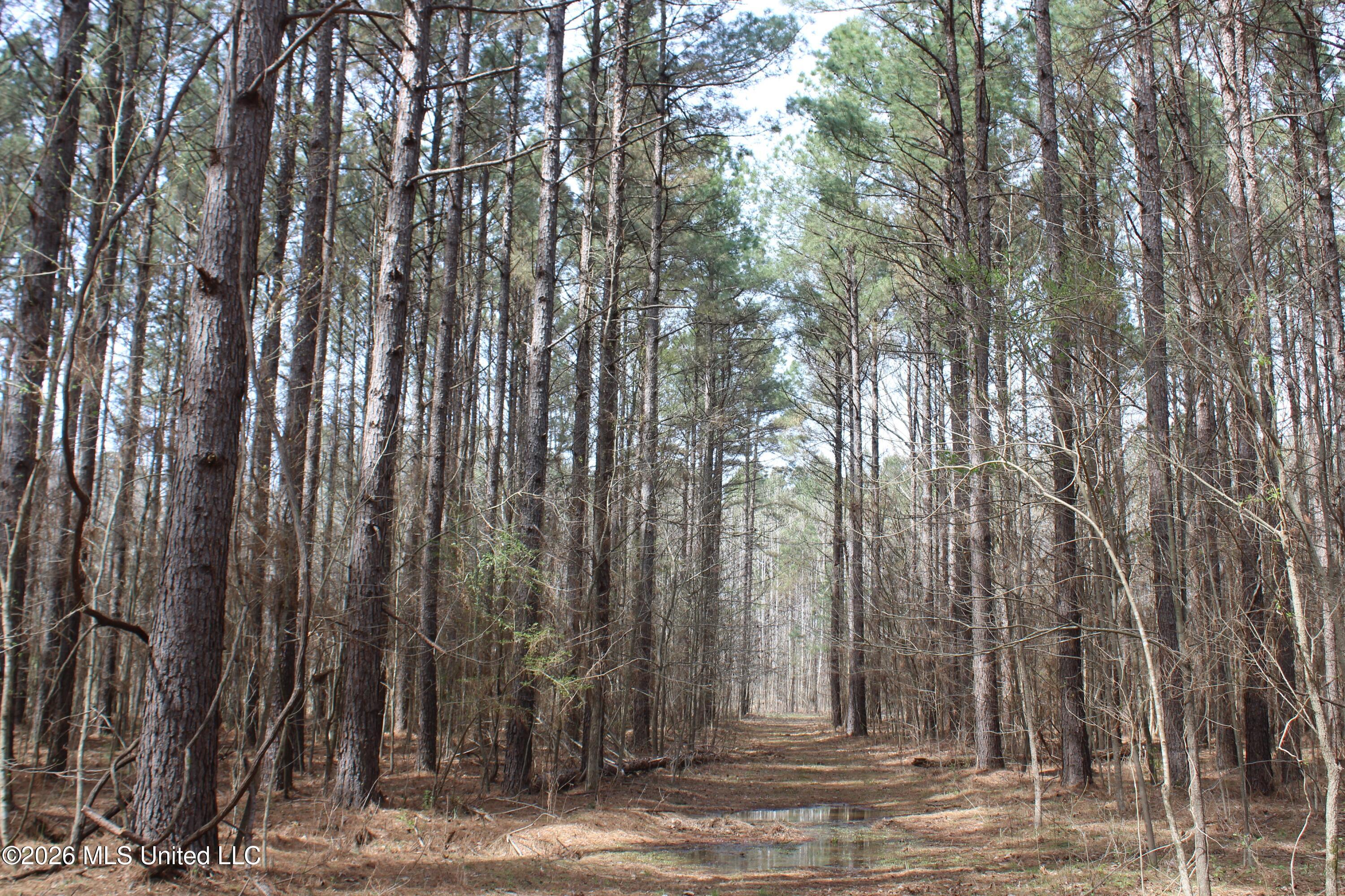 4500 Jaybird Road Property Photo 24