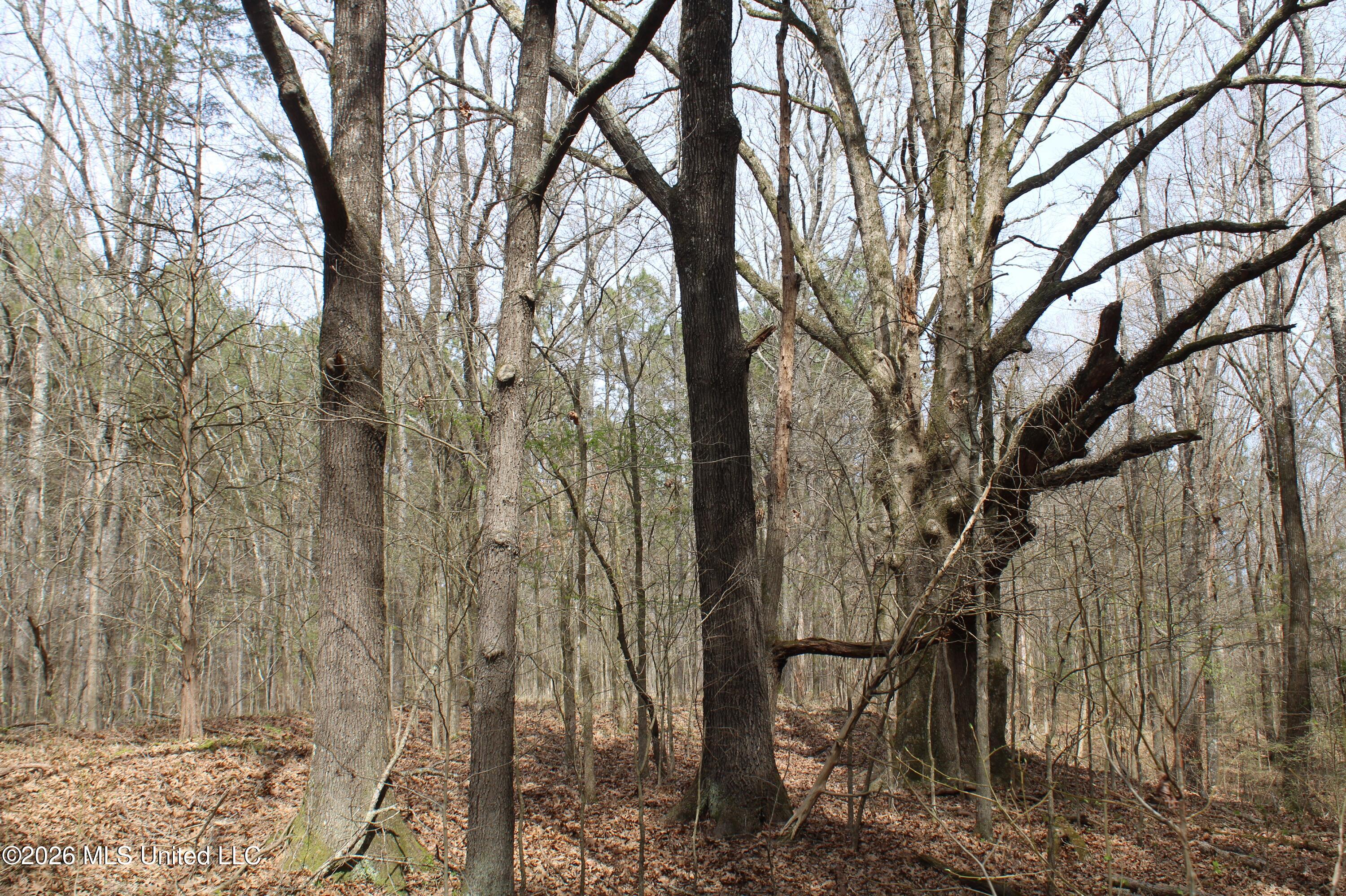 4500 Jaybird Road Property Photo 25