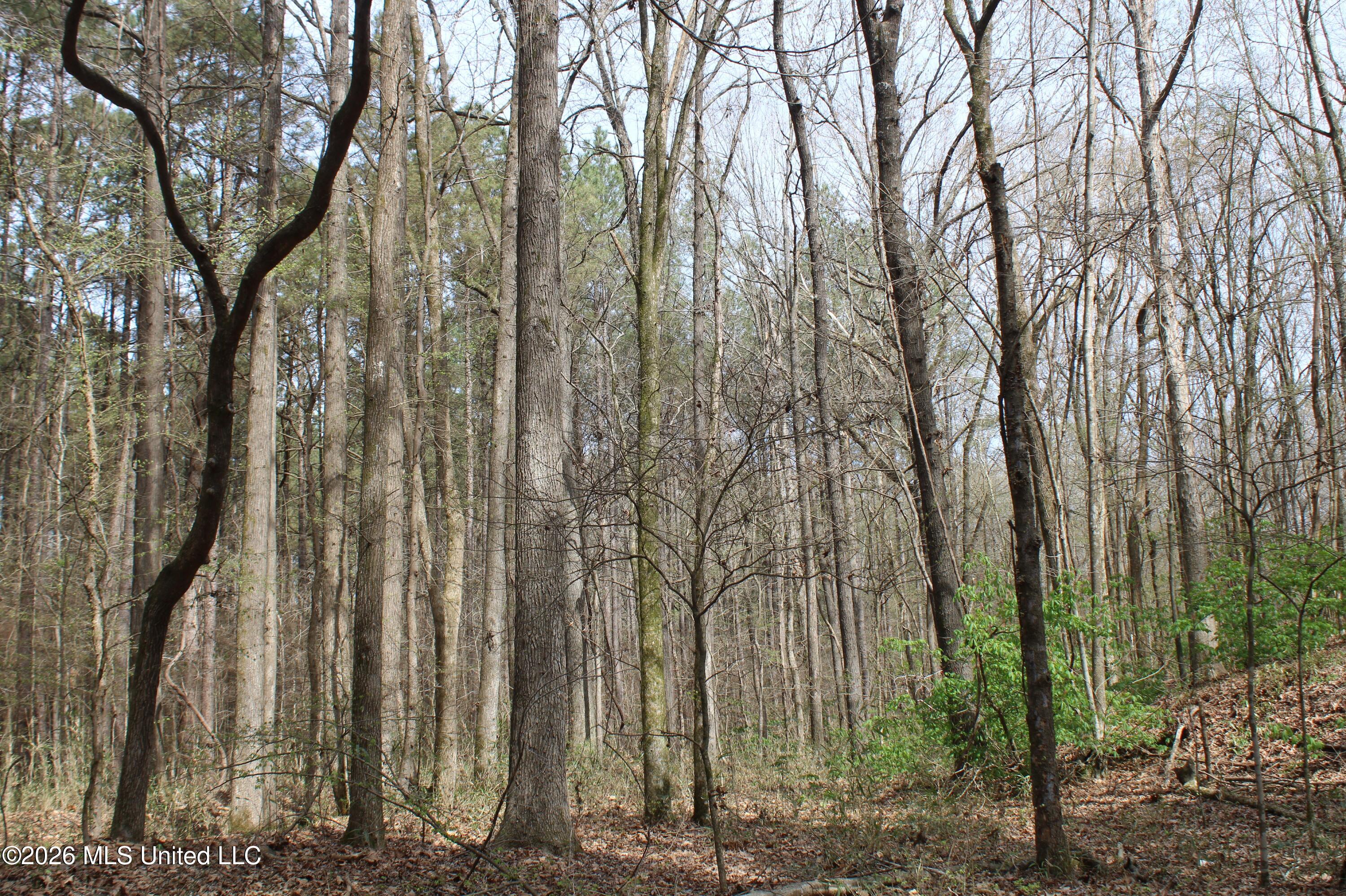 4500 Jaybird Road Property Photo 26