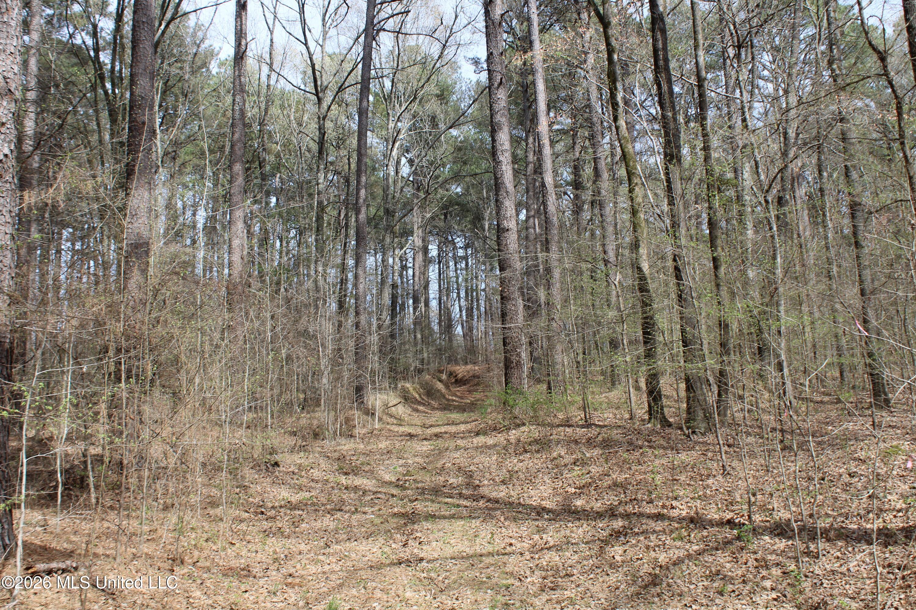 4500 Jaybird Road Property Photo 27