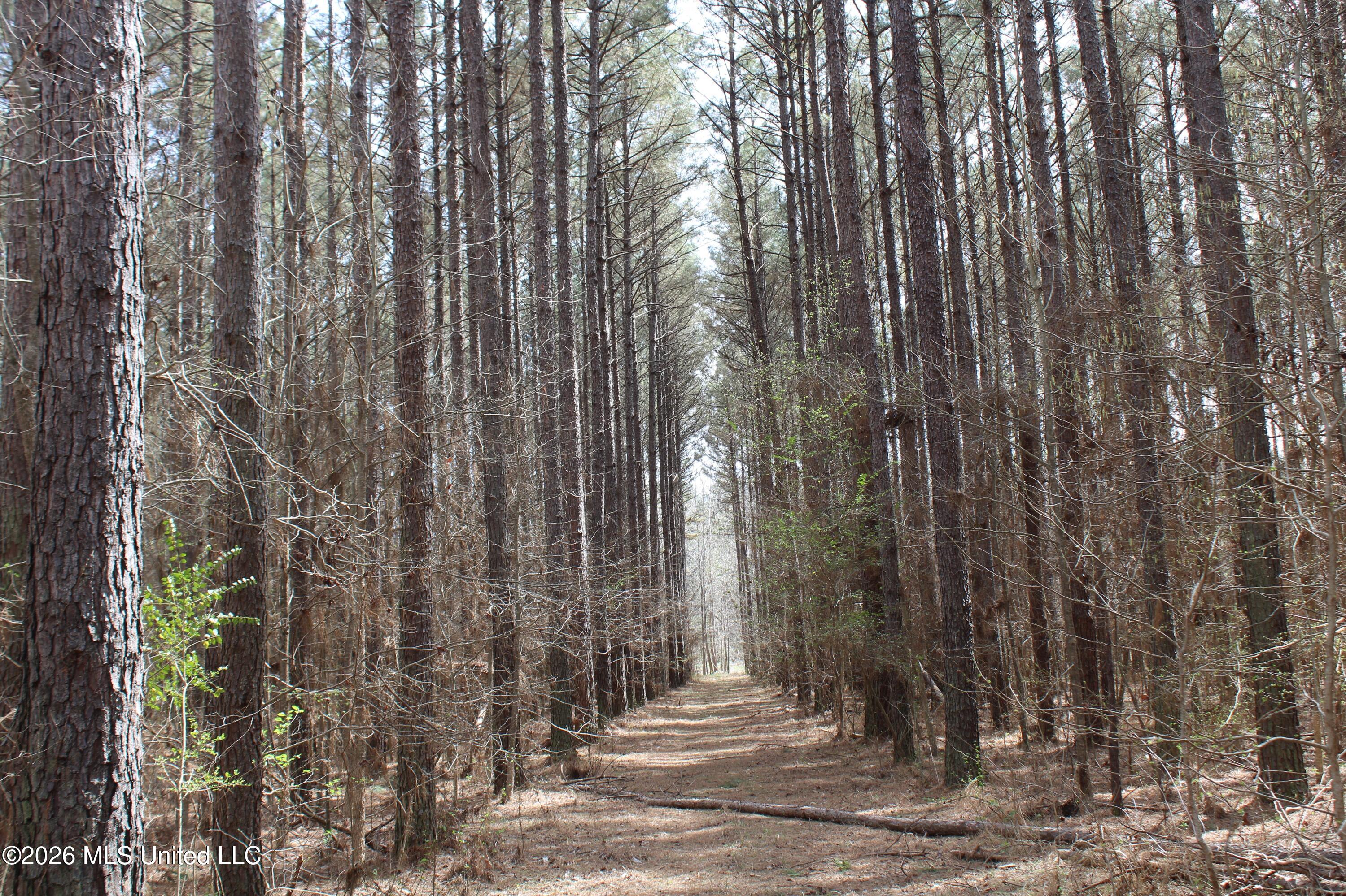4500 Jaybird Road Property Photo 28