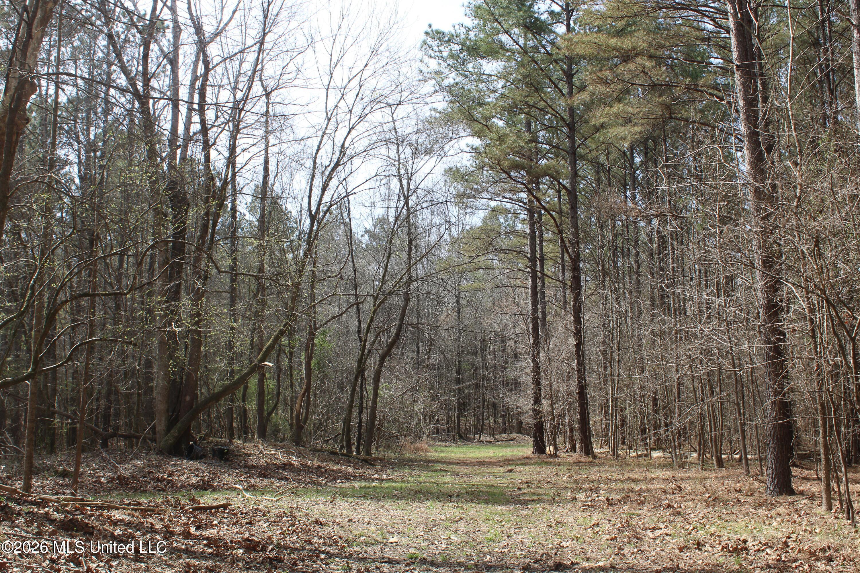 4500 Jaybird Road Property Photo 30