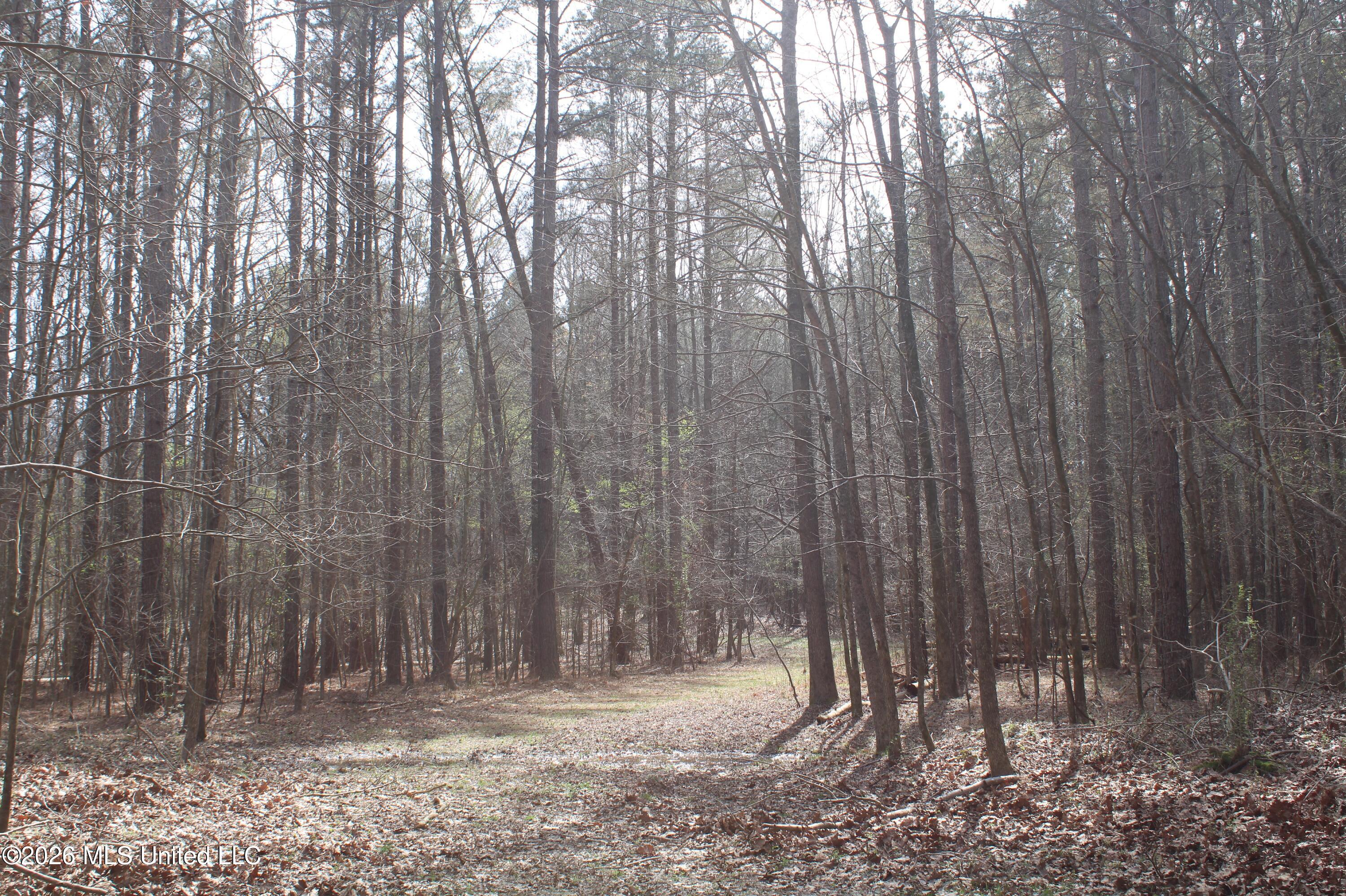 4500 Jaybird Road Property Photo 31