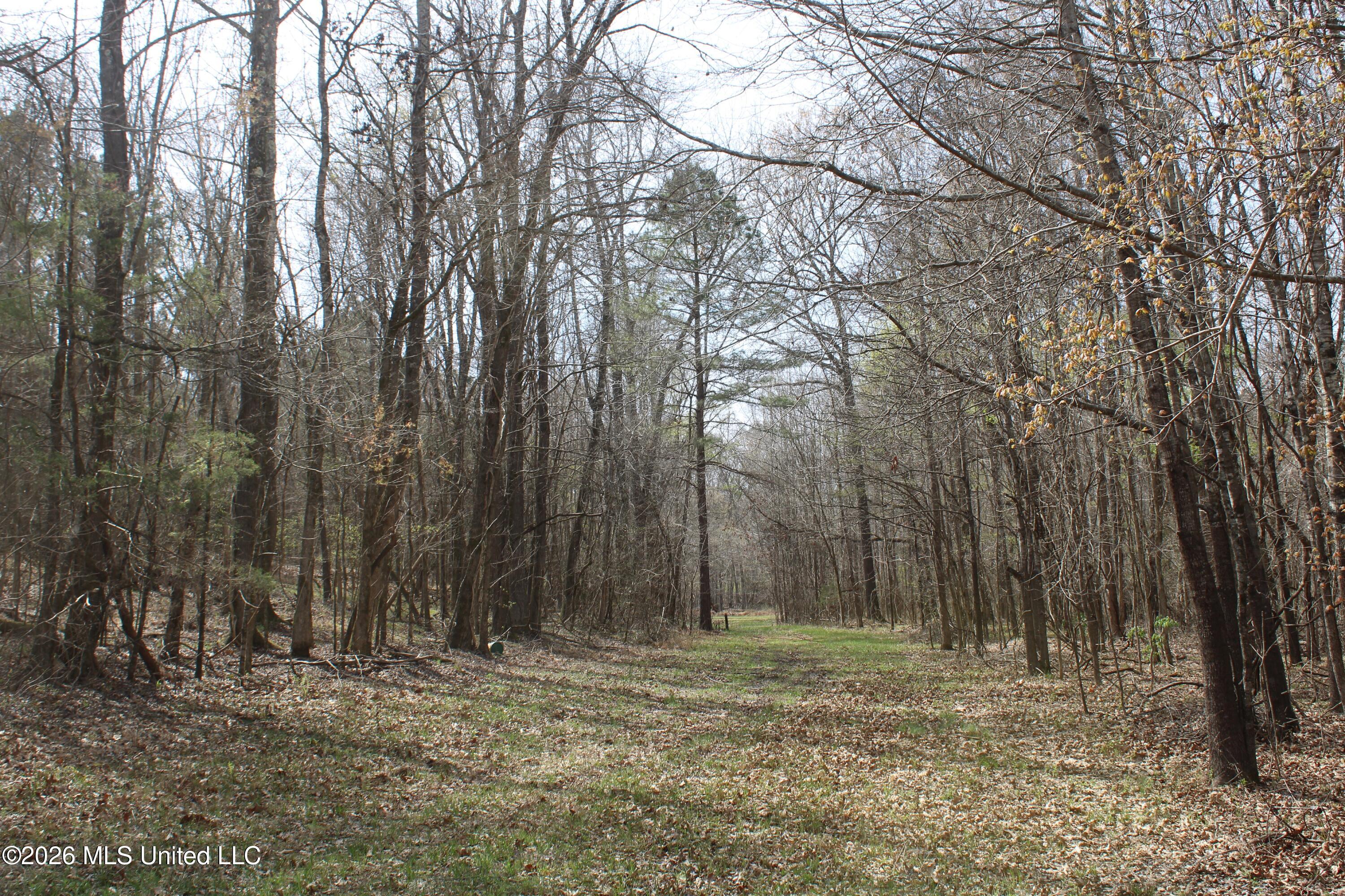 4500 Jaybird Road Property Photo 33