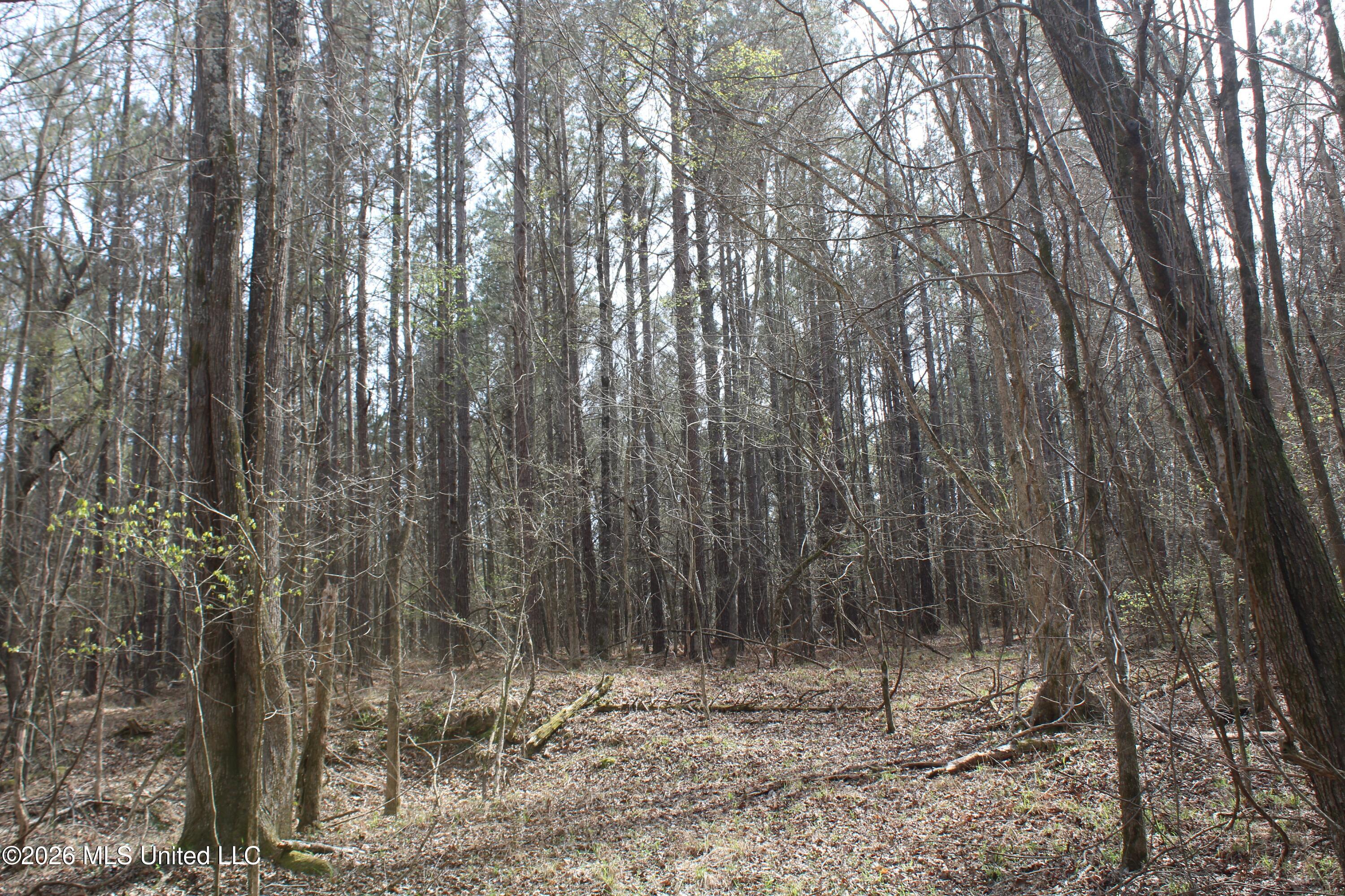 4500 Jaybird Road Property Photo 34