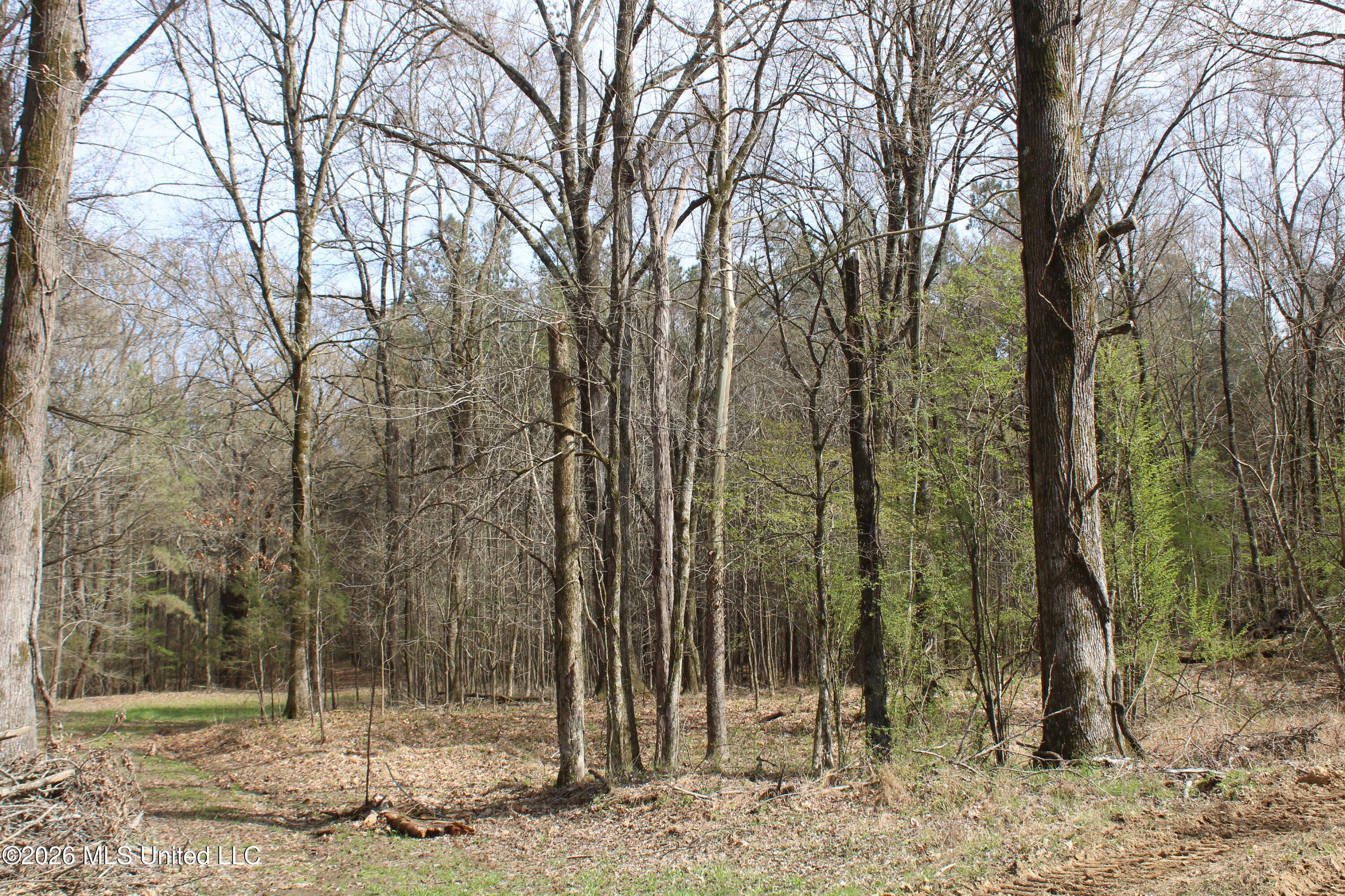 4500 Jaybird Road Property Photo 35