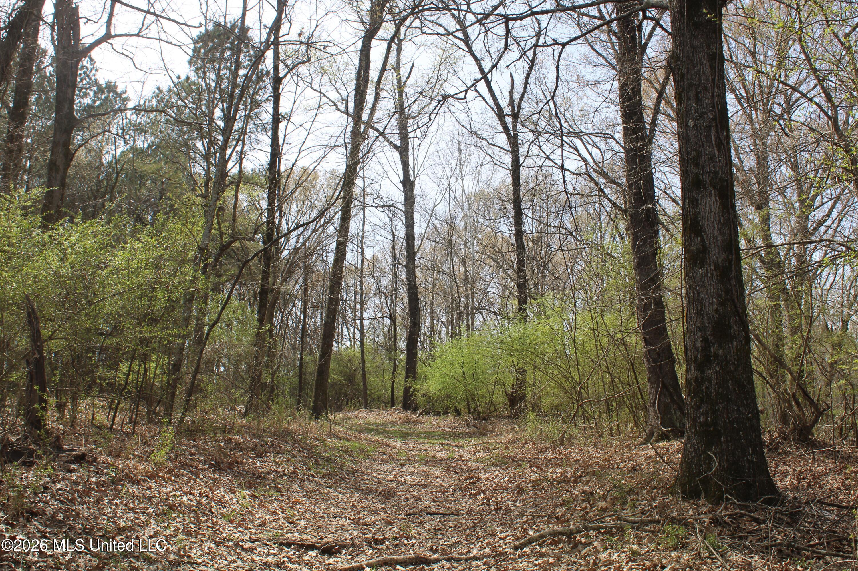 4500 Jaybird Road Property Photo 36