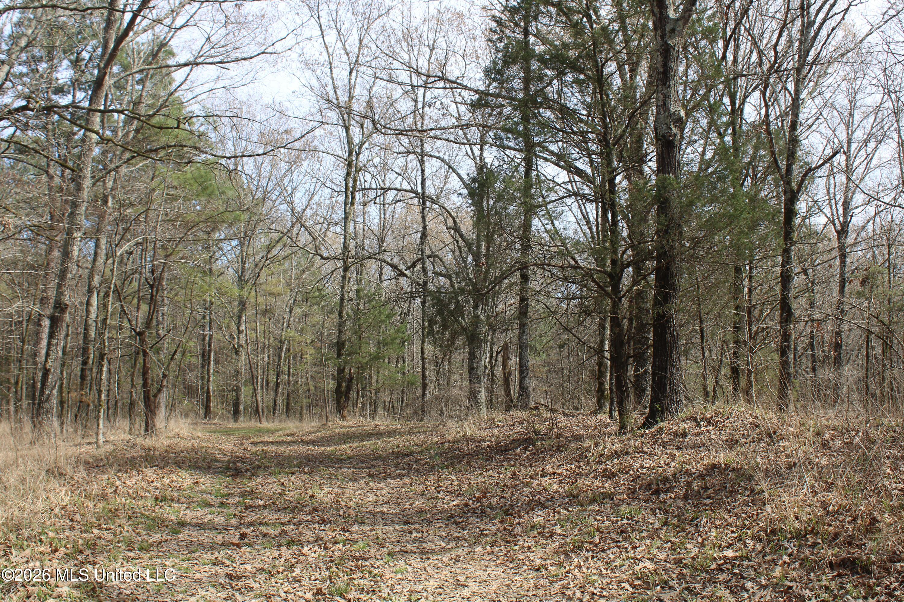 4500 Jaybird Road Property Photo 39