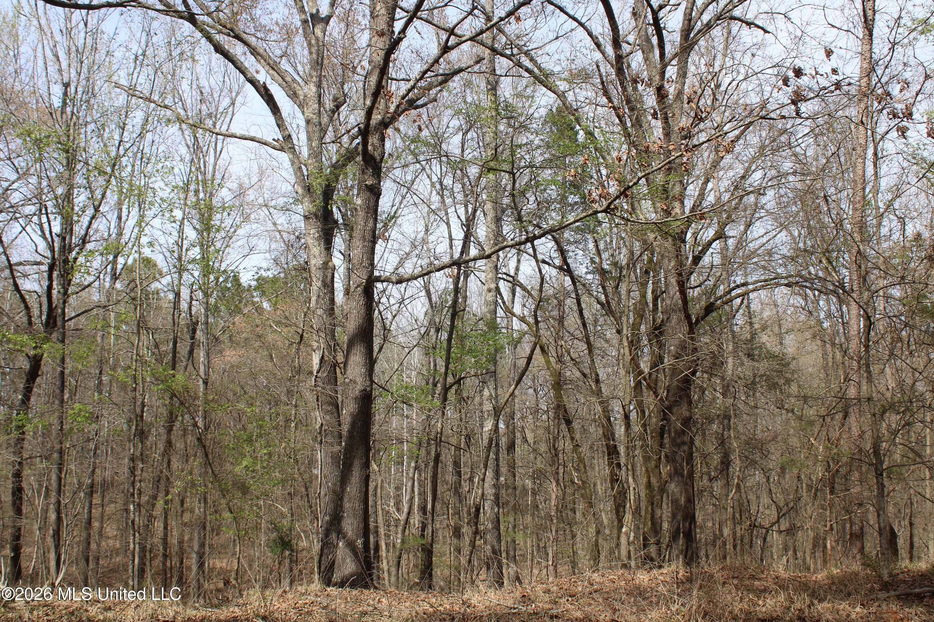 4500 Jaybird Road Property Photo 40