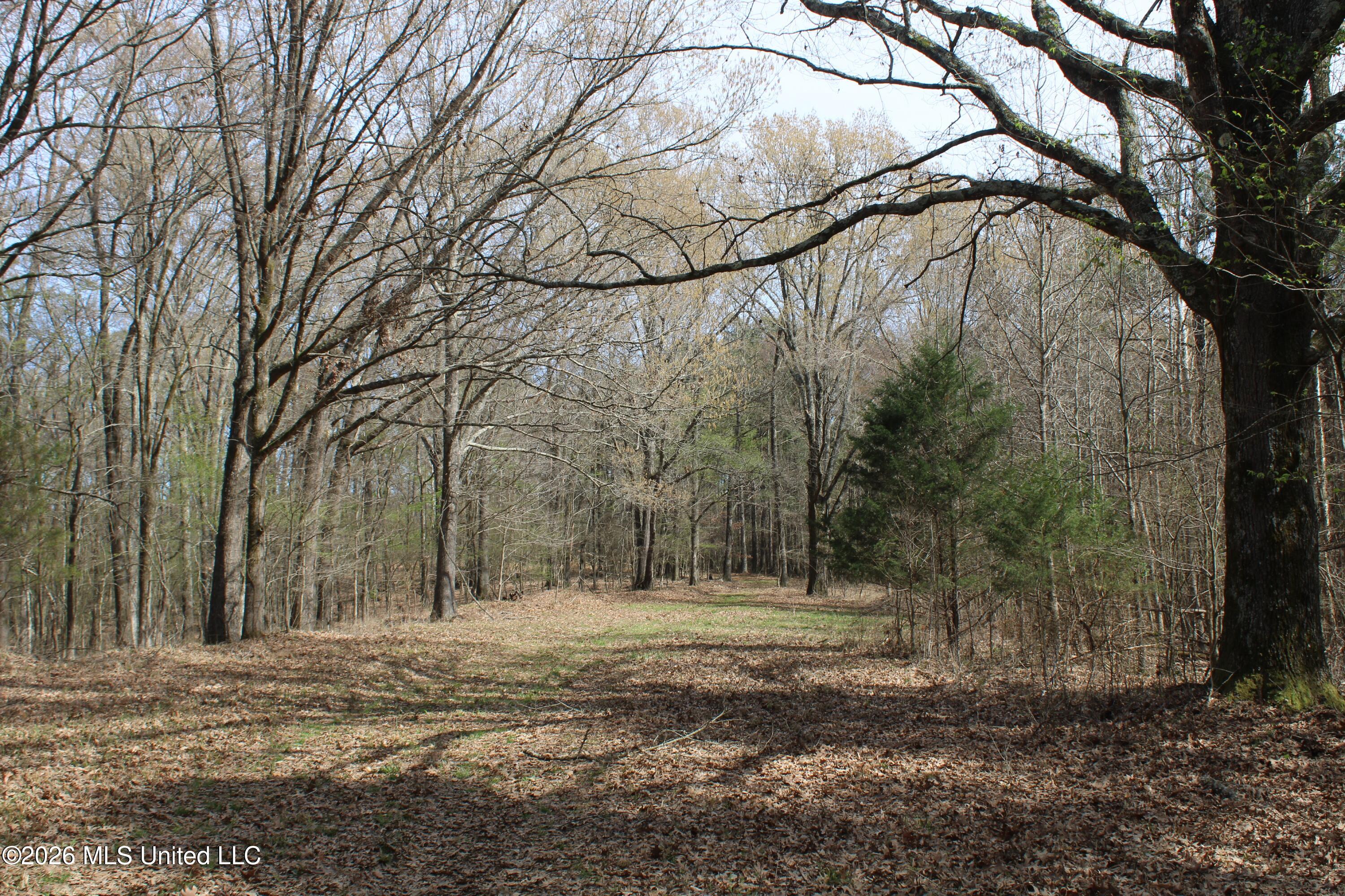 4500 Jaybird Road Property Photo 41