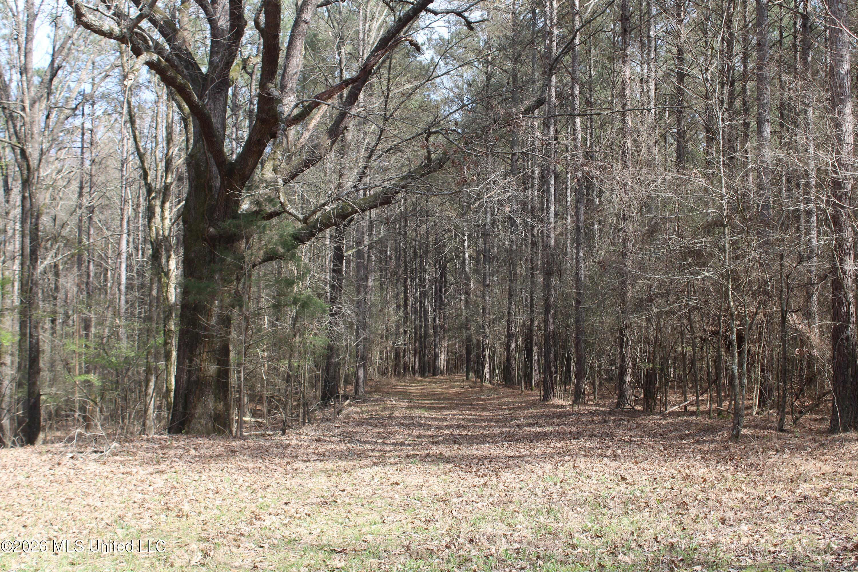 4500 Jaybird Road Property Photo 42